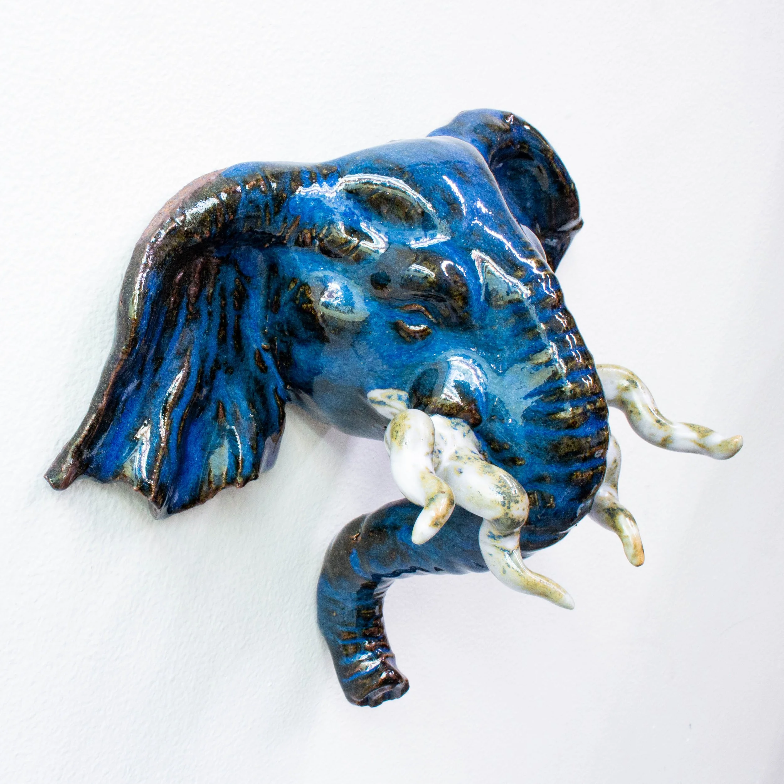 elephant face-22.jpg