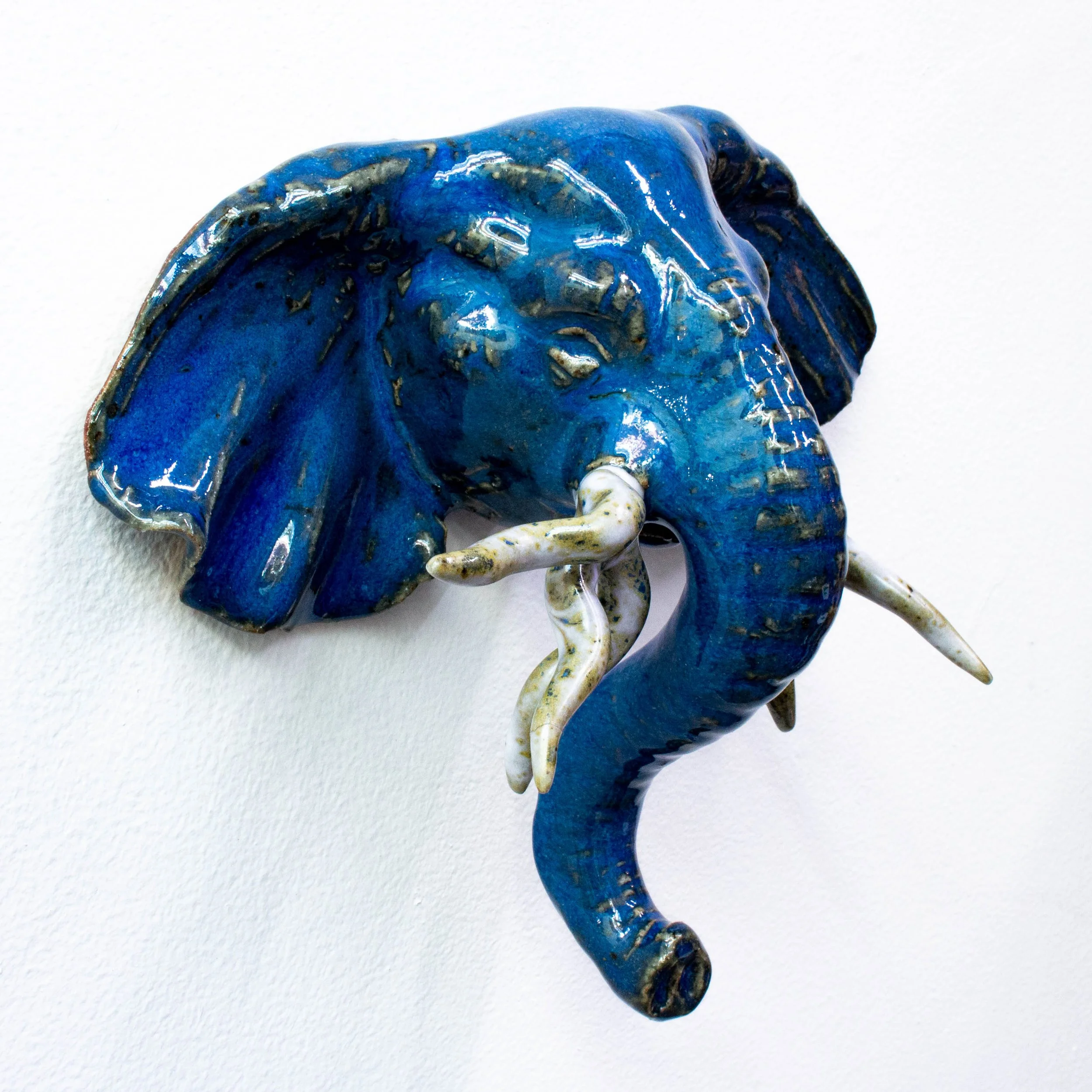 elephant face-11.jpg