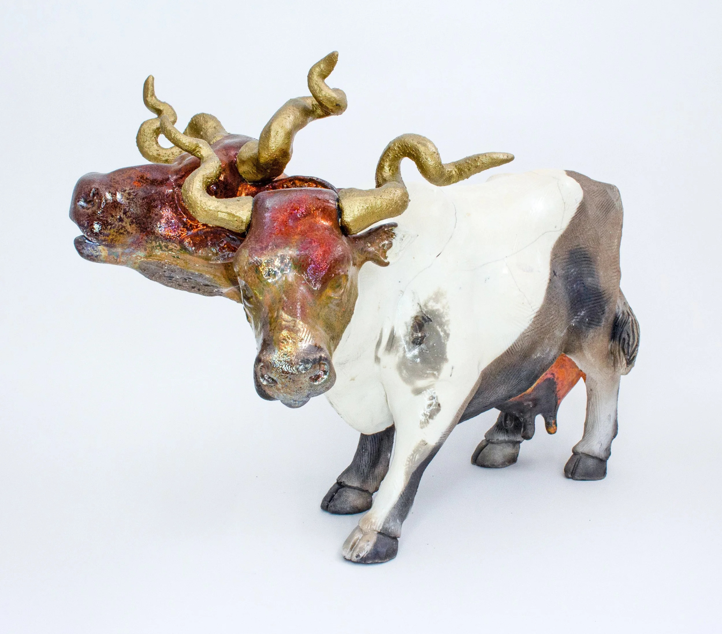 double headed cow01-Edit.jpg