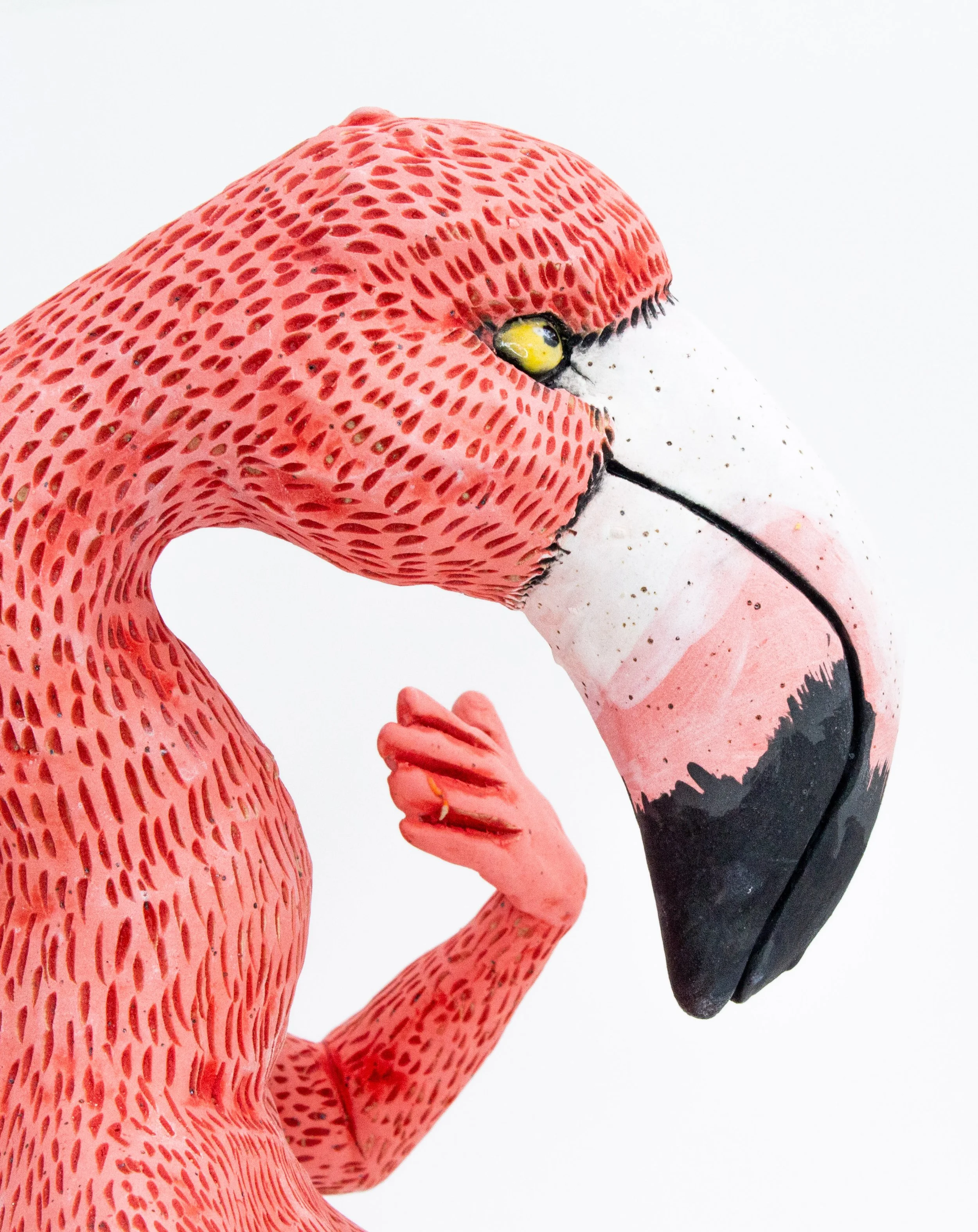 pnk flamingo21.jpg