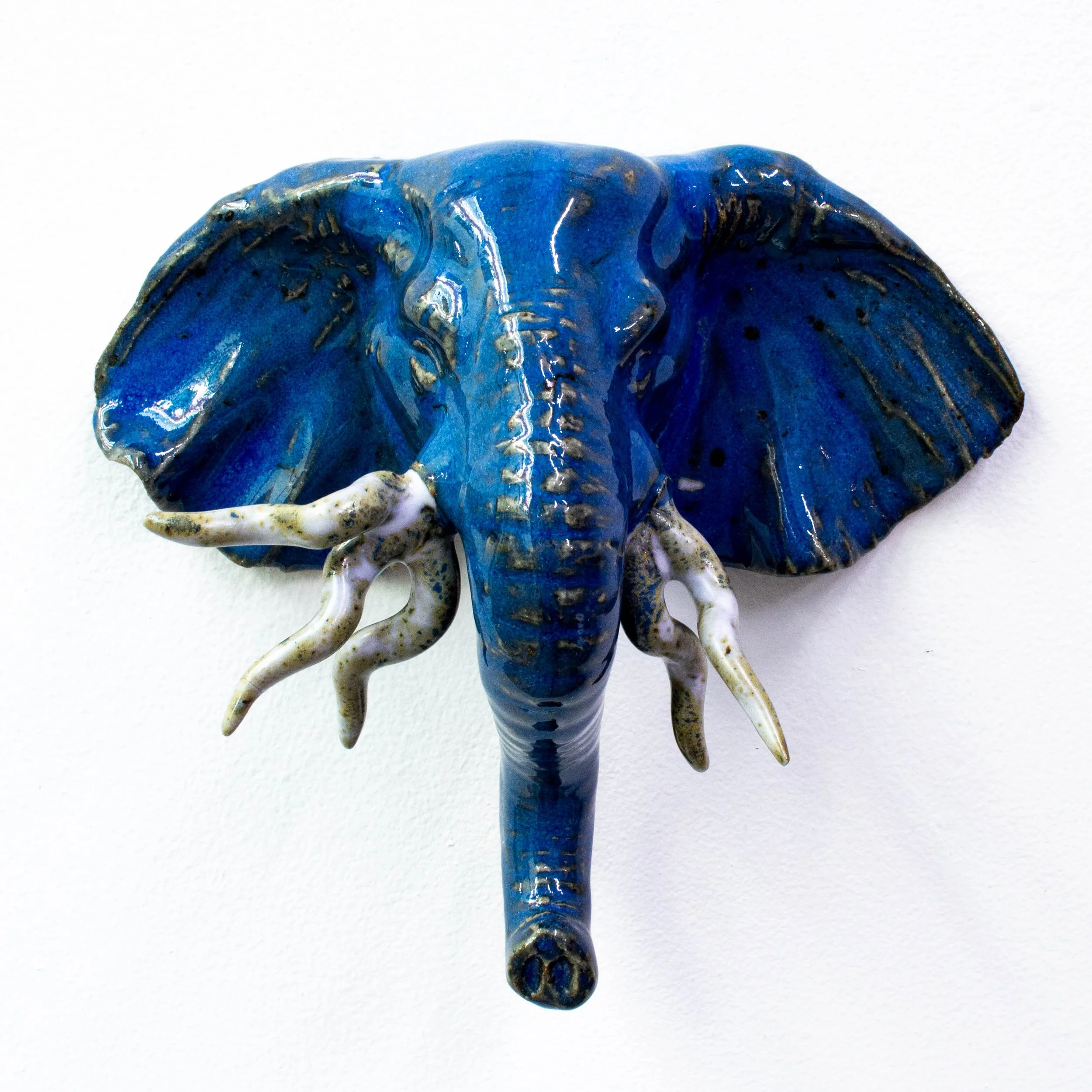 elephant face-10.jpg