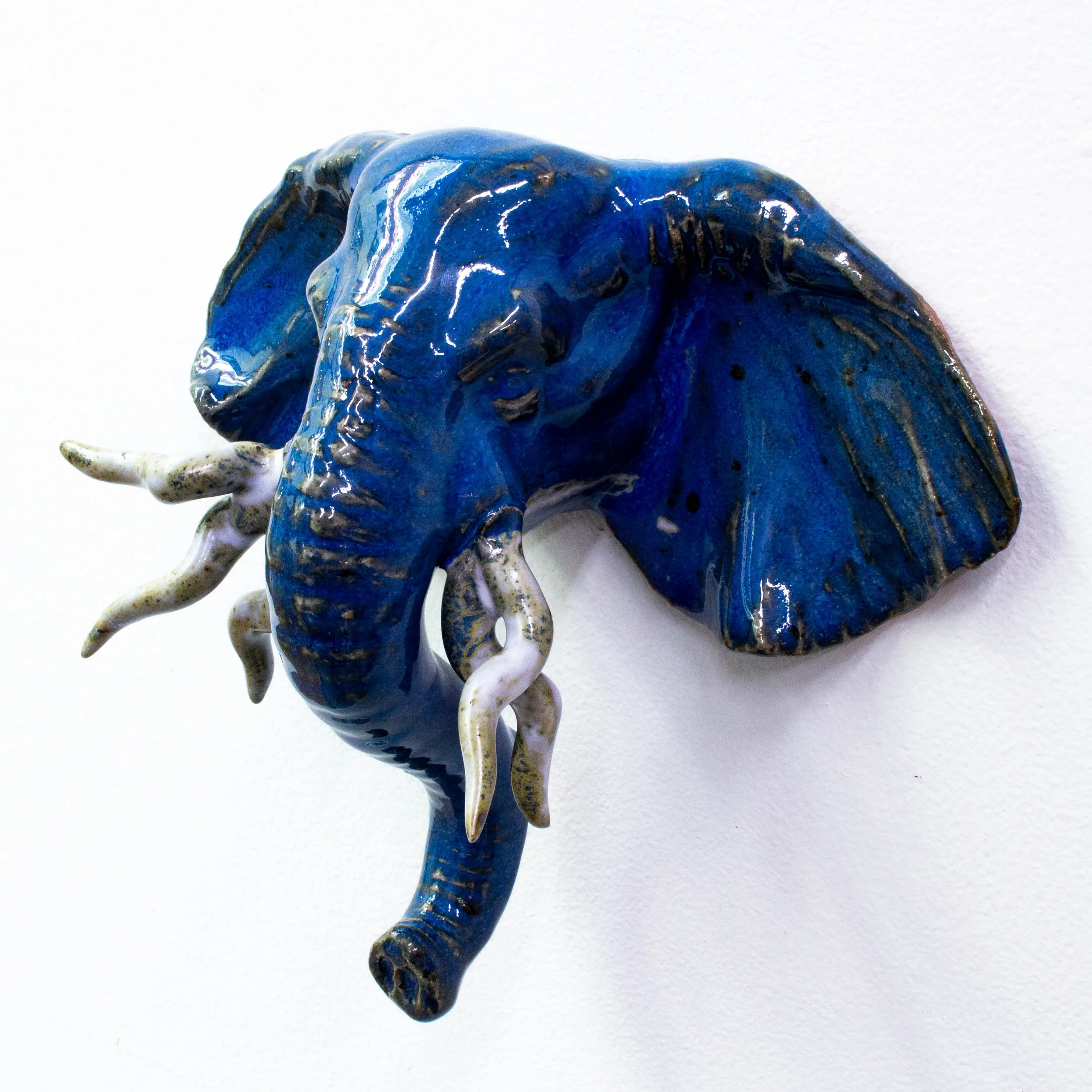 elephant face-12.jpg