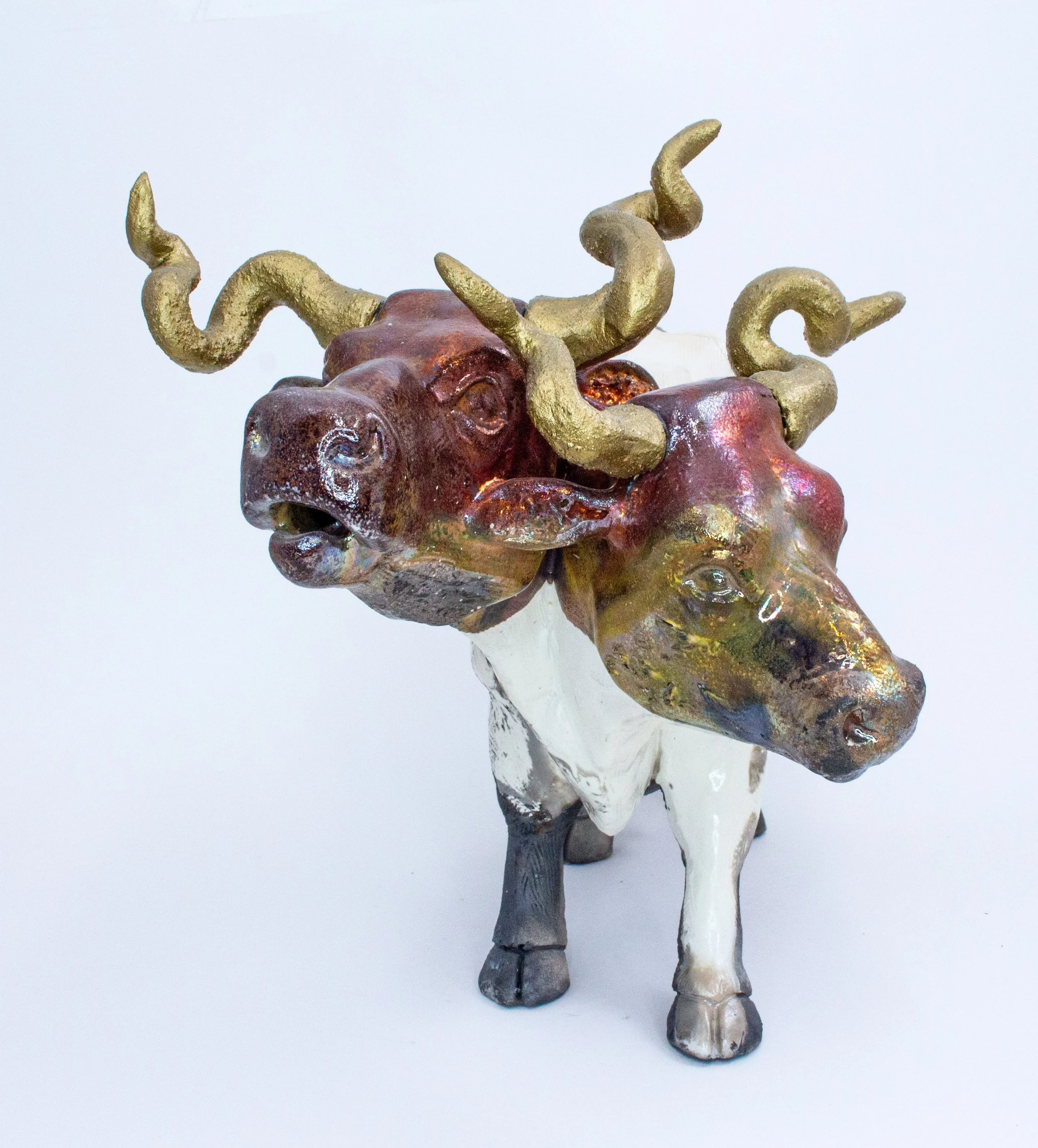 double headed cow03.jpg