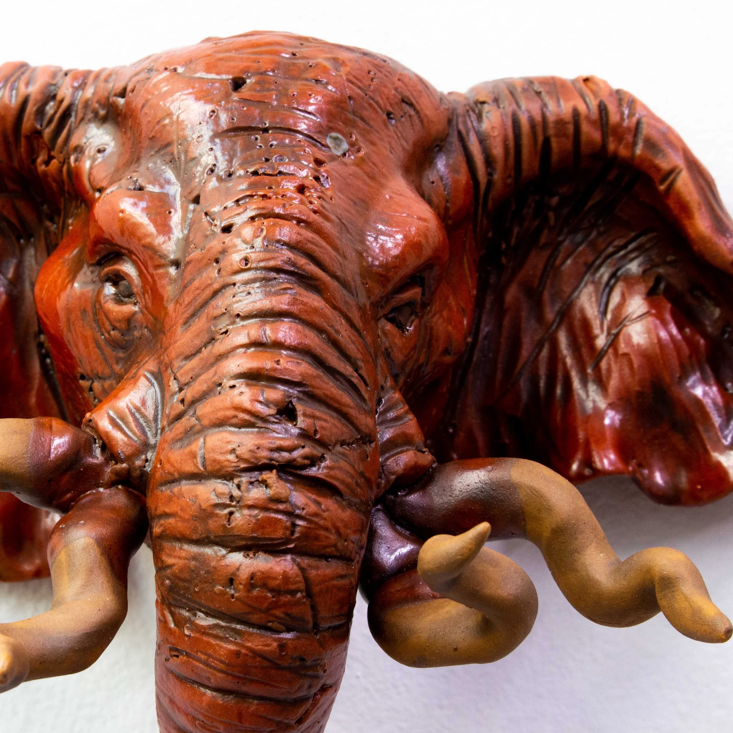 elephant face-8.jpg