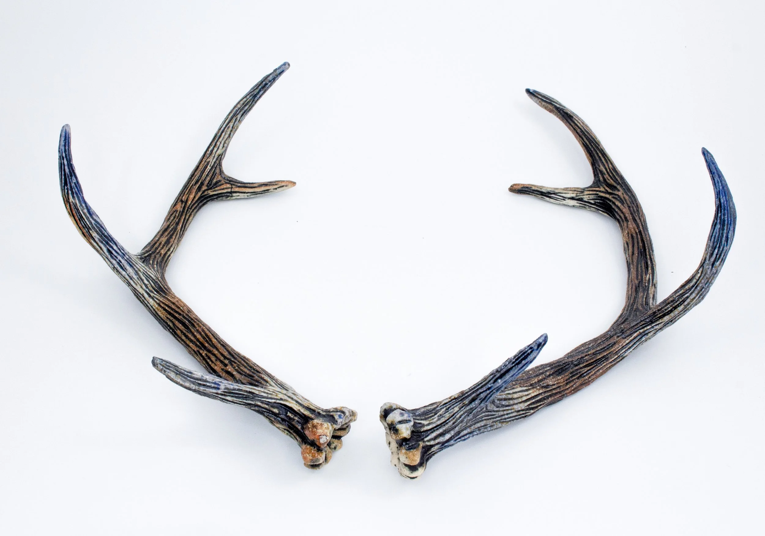 antler17-Edit.jpg