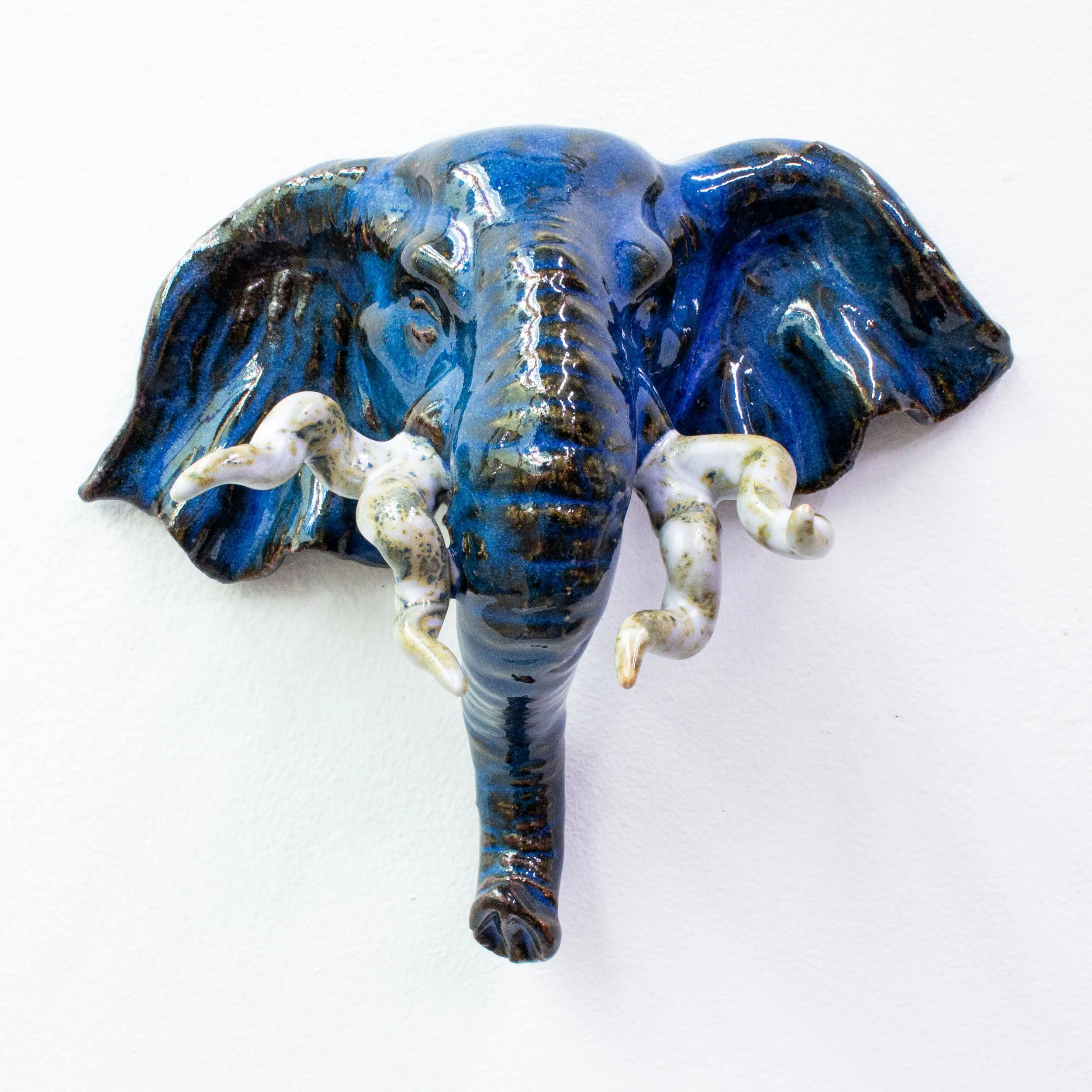 elephant face-18.jpg