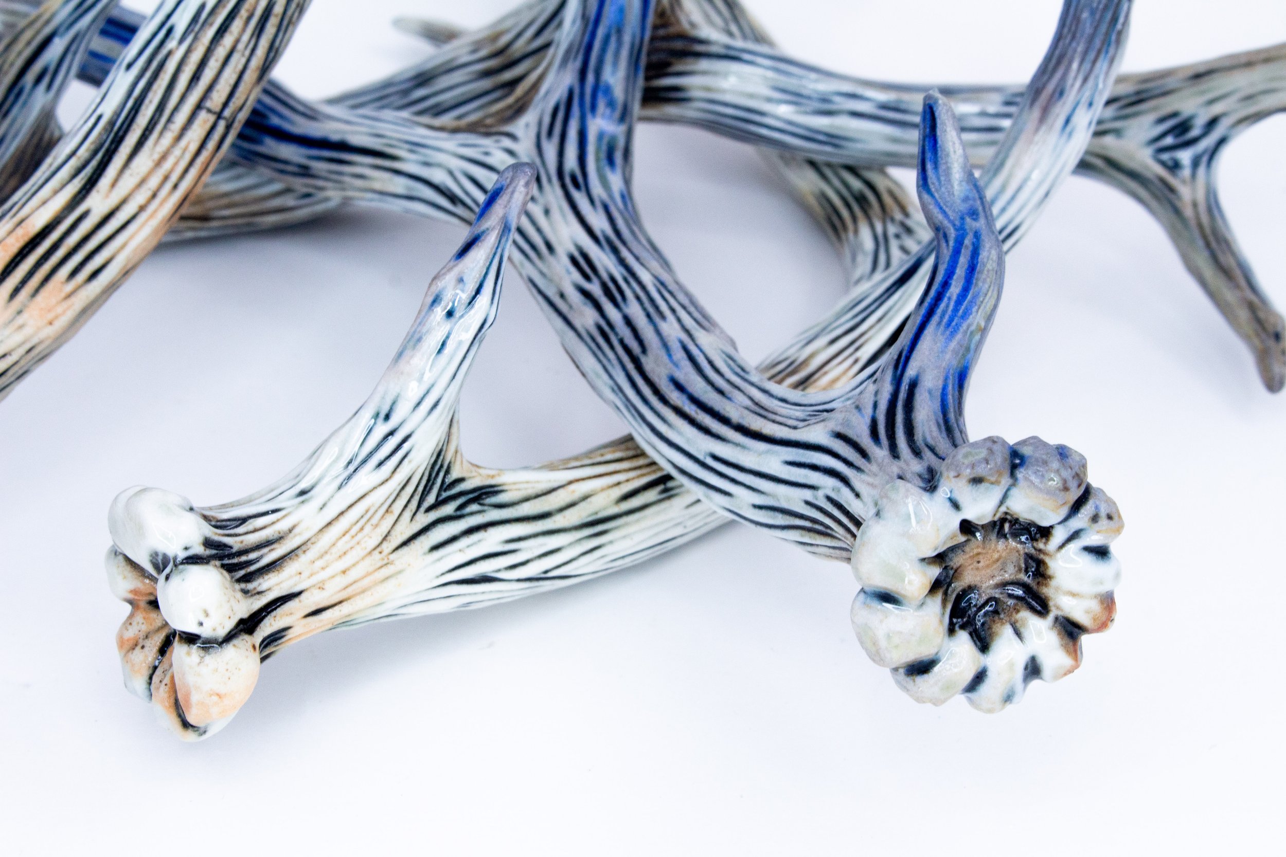 antler31.jpg