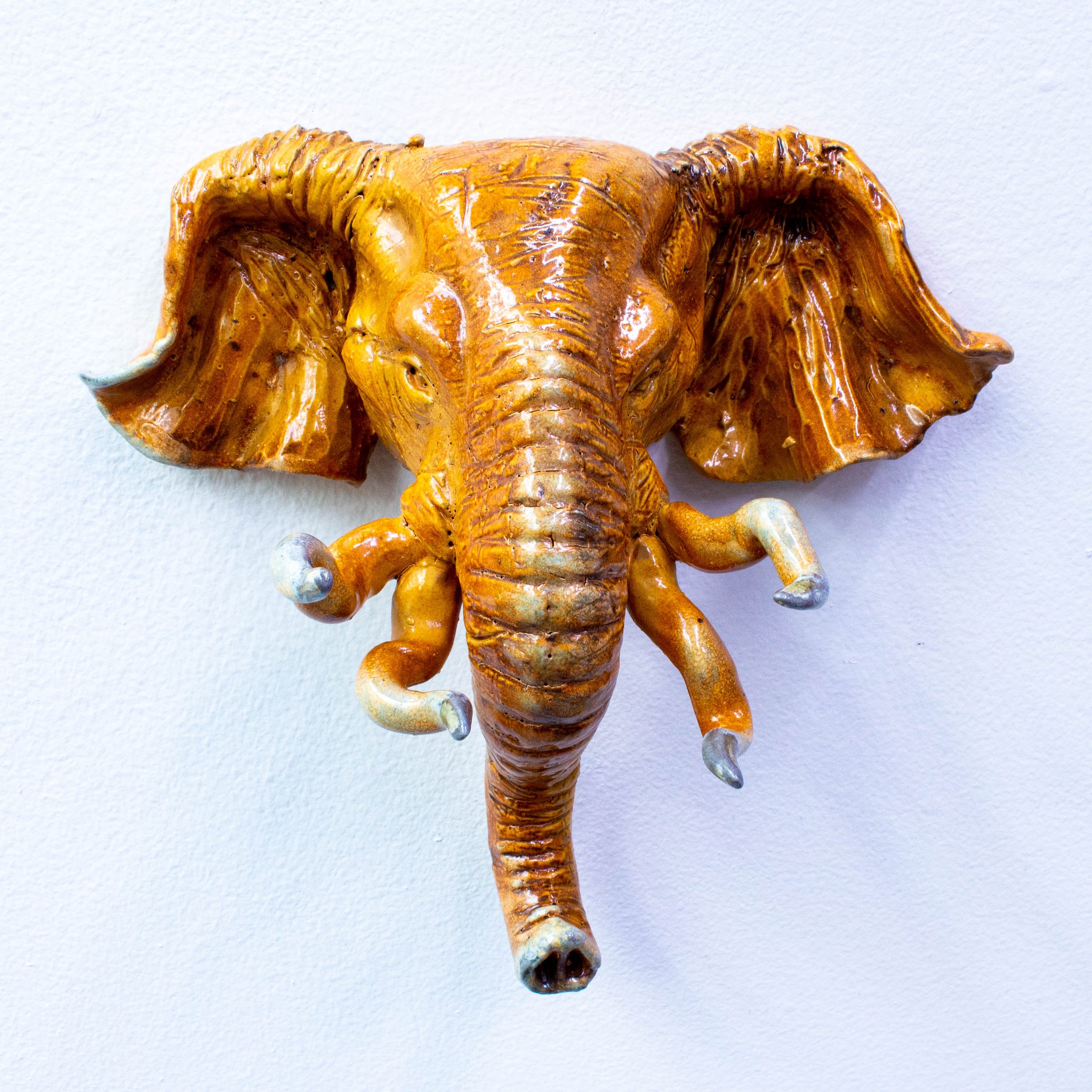 elephant face-14.jpg