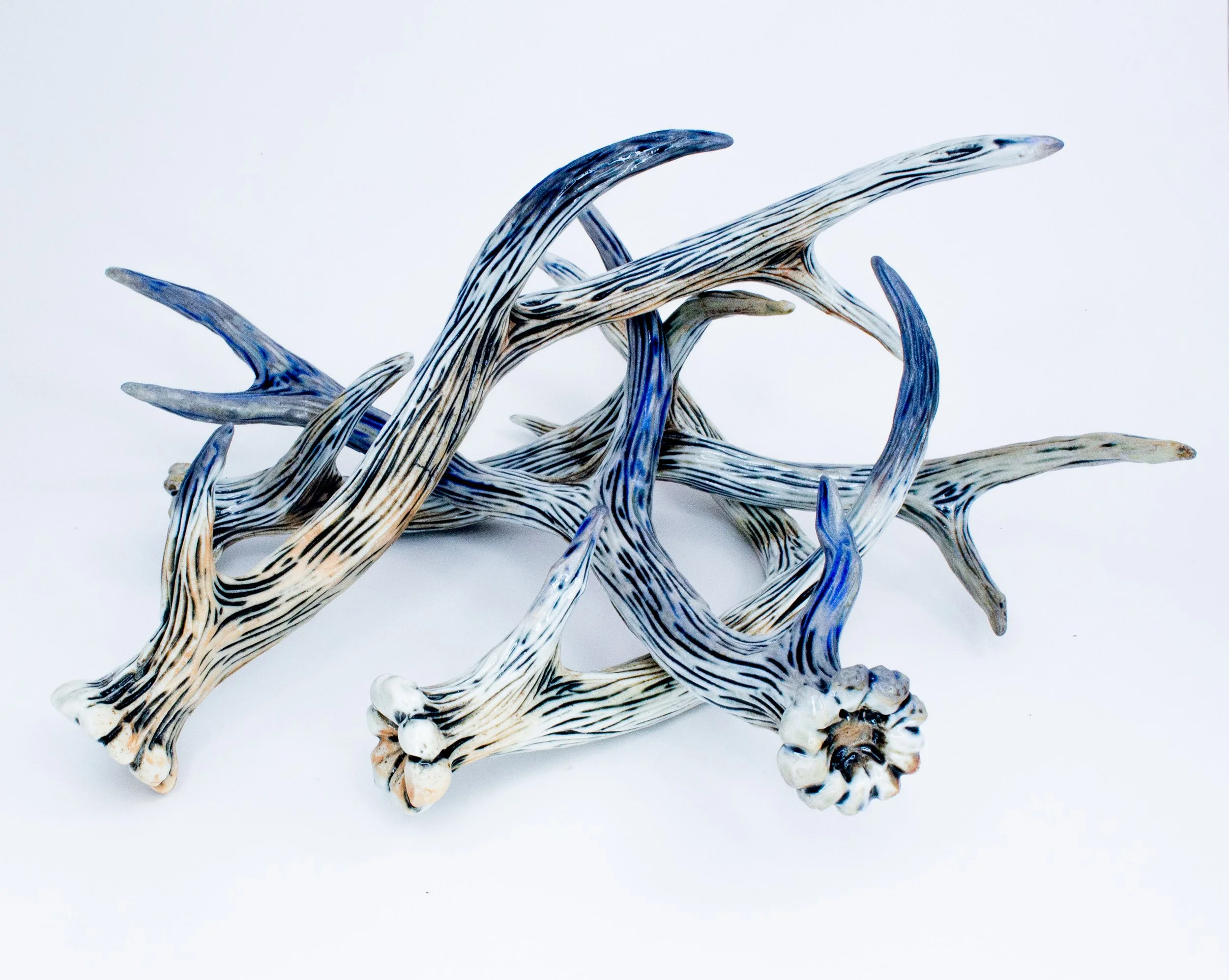 antler30.jpg