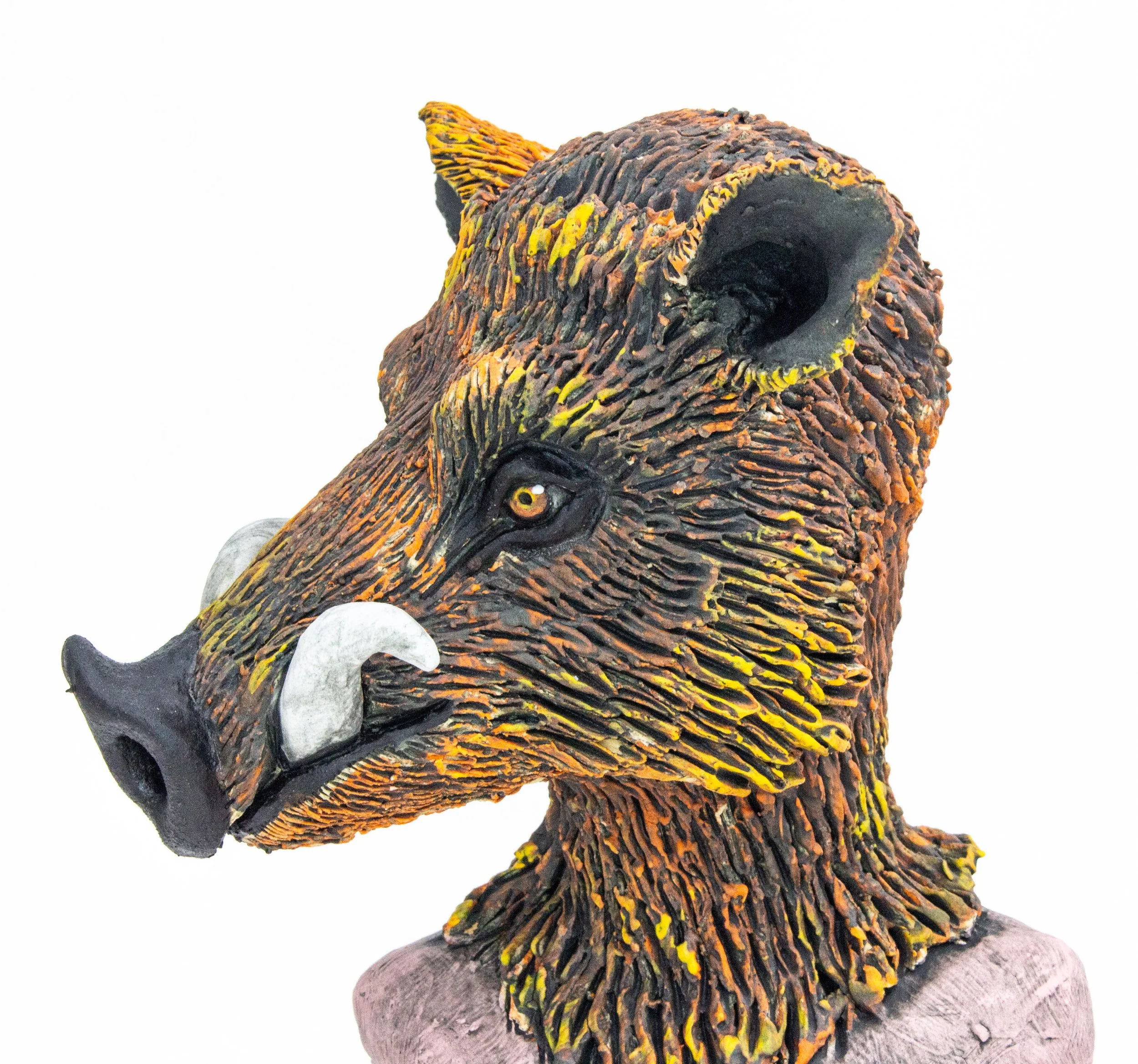 boar30.jpg