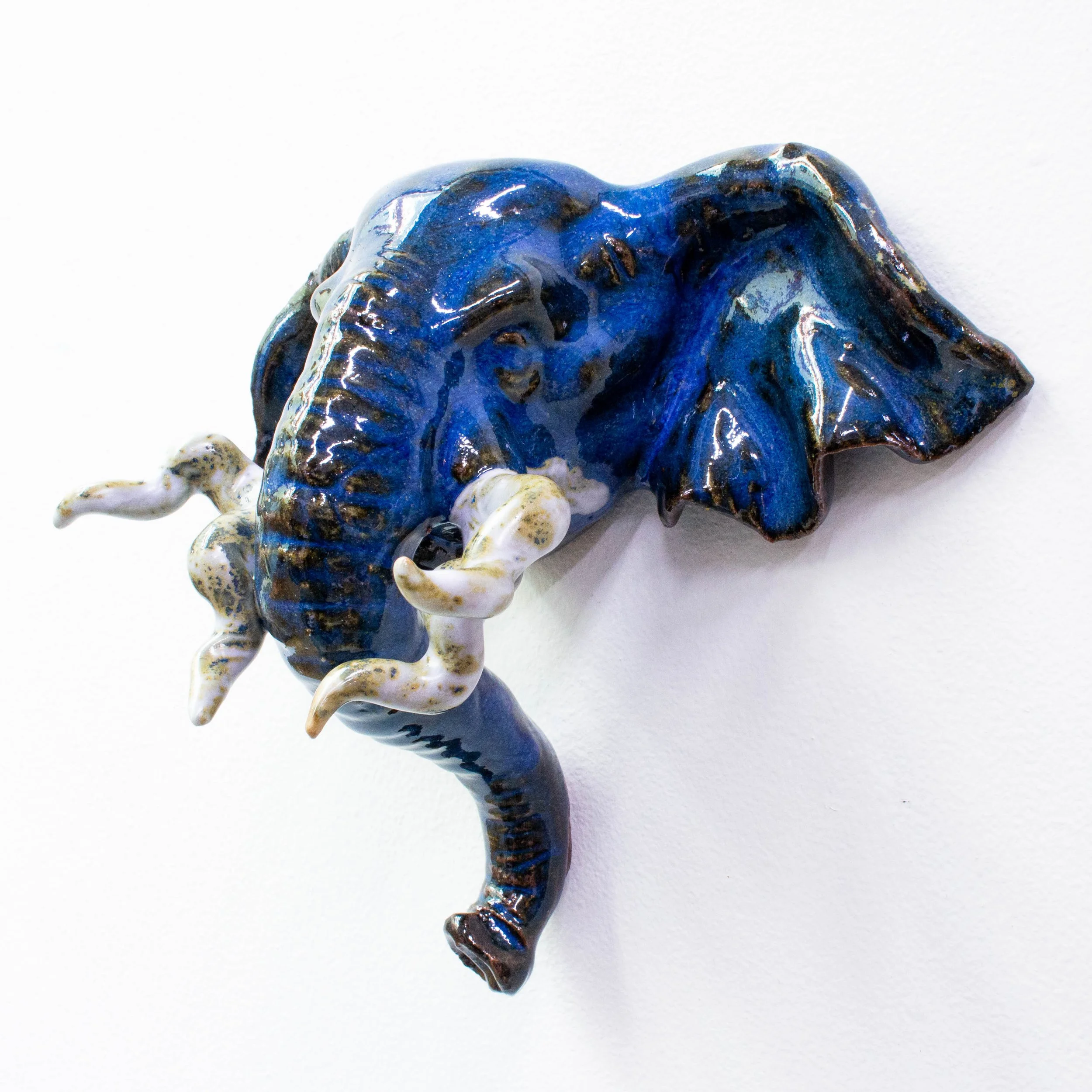 elephant face-20.jpg