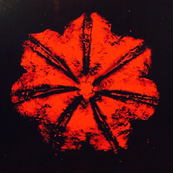 Power Flower Series (Red) , SilkScreen/Hand Painting Ed.: 10, 36 x 36 in, 2016.
