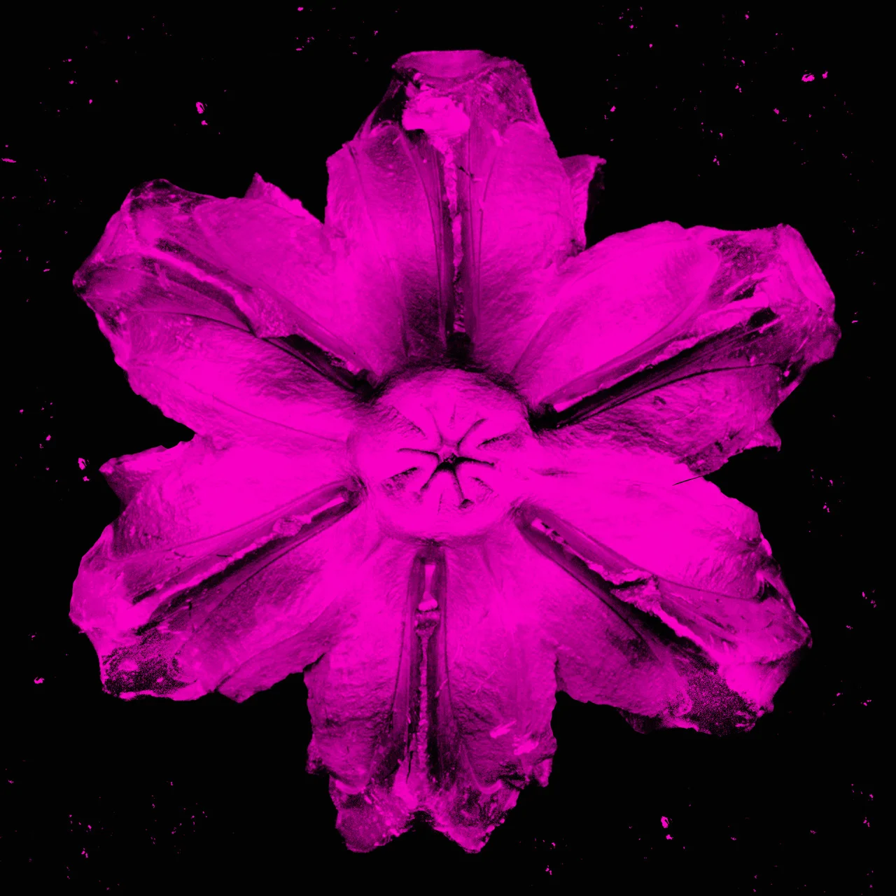 Power Flower Series I SilkScreen/Hand Painting Ed.: 10, 36 x 36 in, 2016.