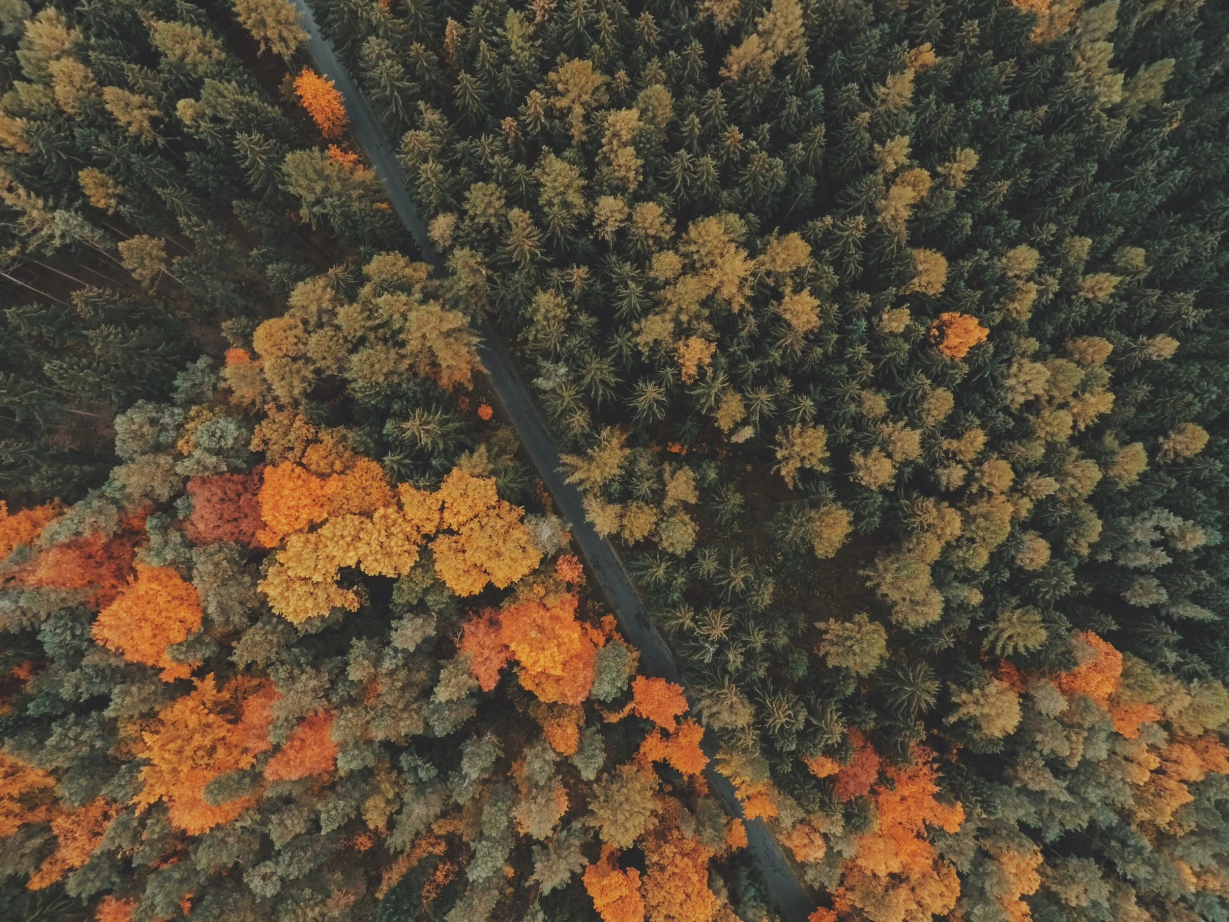 jakub-sejkora-42069-unsplash.jpg