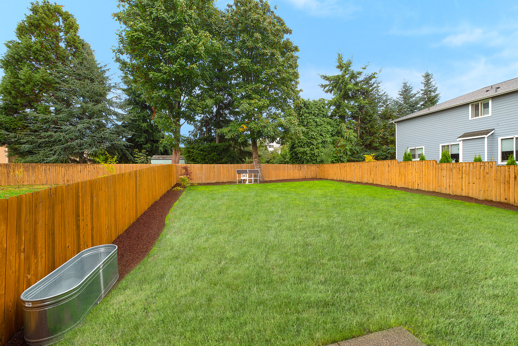 20-backyard.jpg
