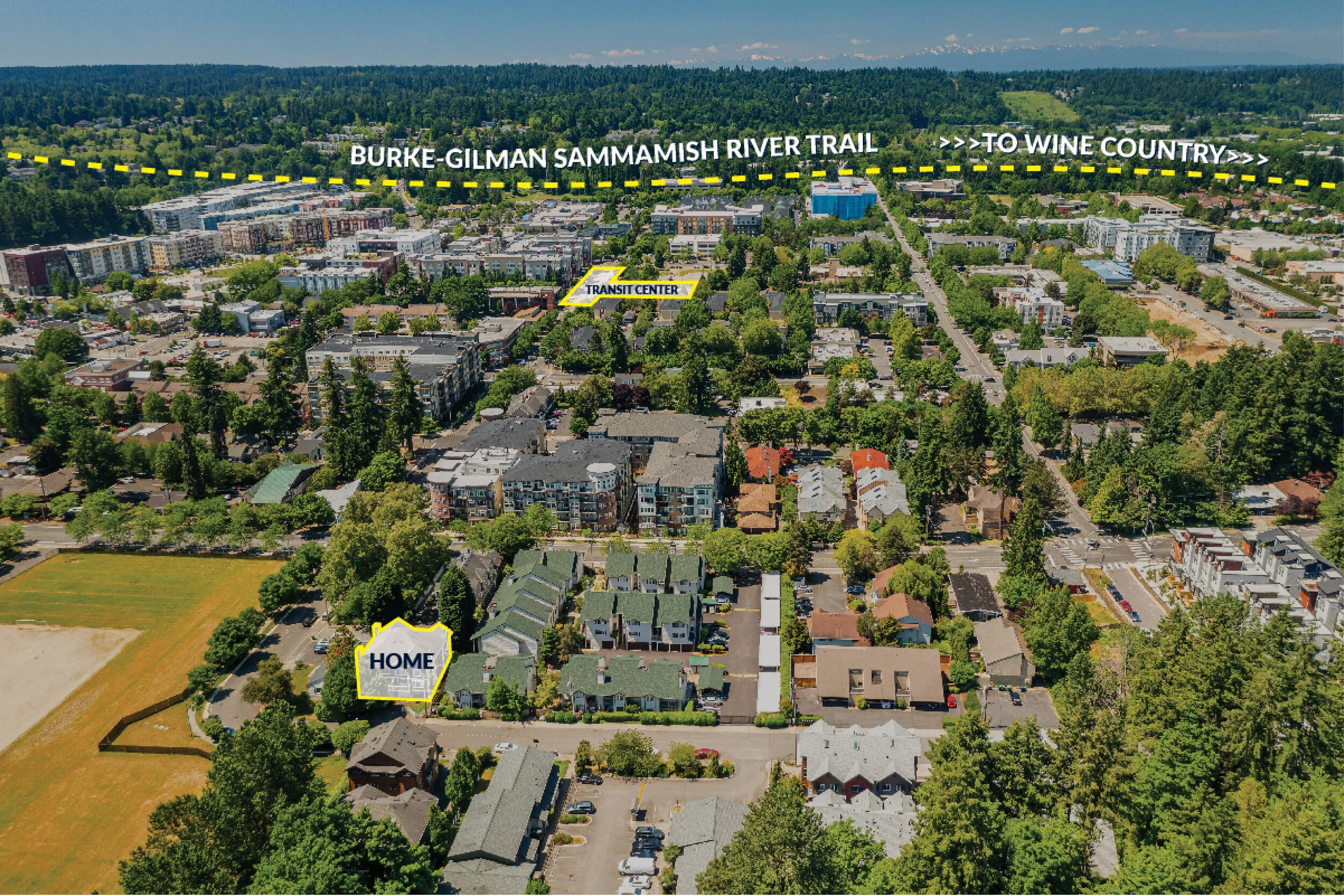 Drone- Burke Gilman-Wine.jpg