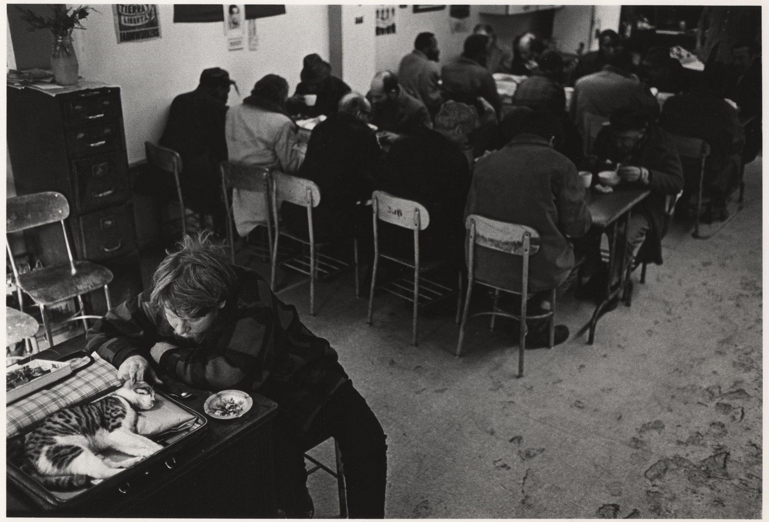 HOUSE OF HOSPITALIT dining area man w cat 1970s.jpg