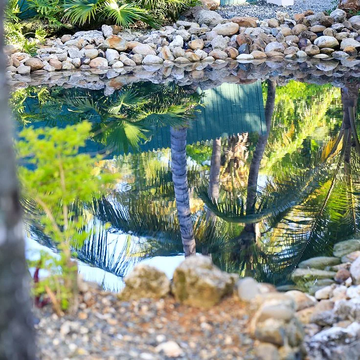Despite having a stagnant pool directly behind our room, mosquitoes were not a problem.