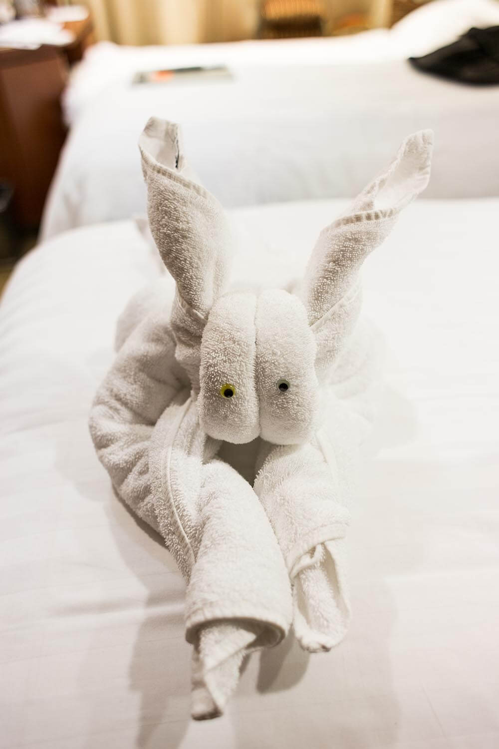 Our daughter loved discovering towel creatures in our cabin each night. Nyoman and Rizal, our room stewards, were excellent.