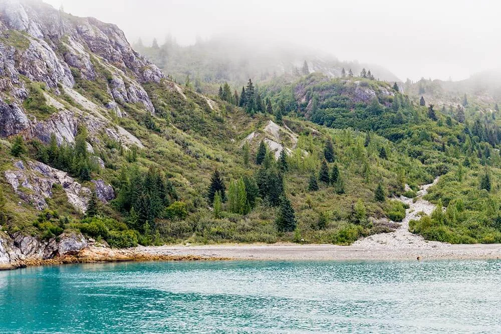 We didn't see any bears on the coast, but we did notice the aftermath of rock slides.