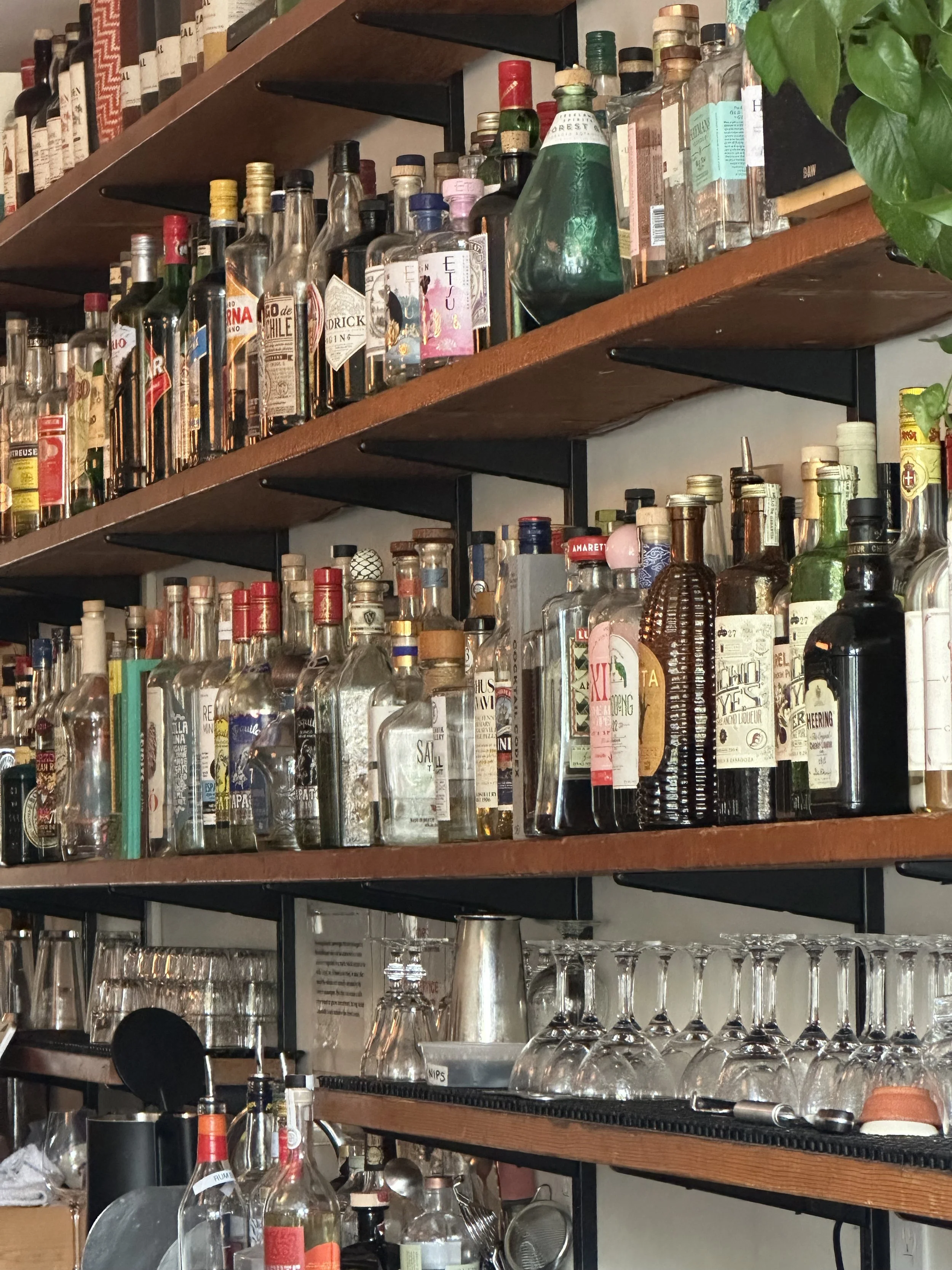 backbar.jpg