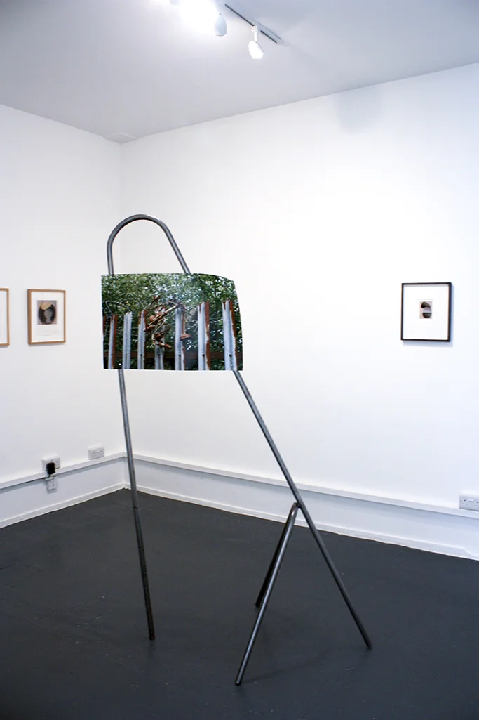 Misadventures in Wonderland as part of A Romance of Many Dimenions at Sid Motion Gallery 2018