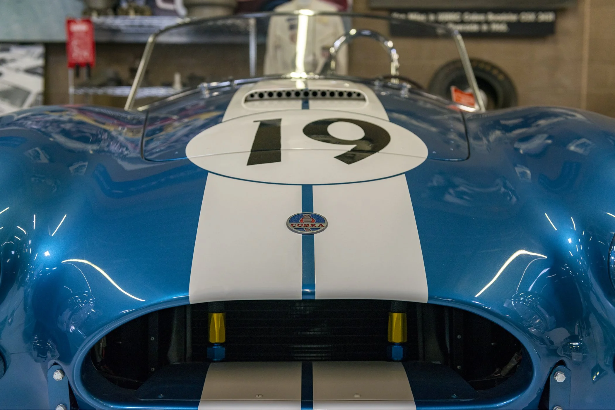 No.19 Cobra WP.jpg