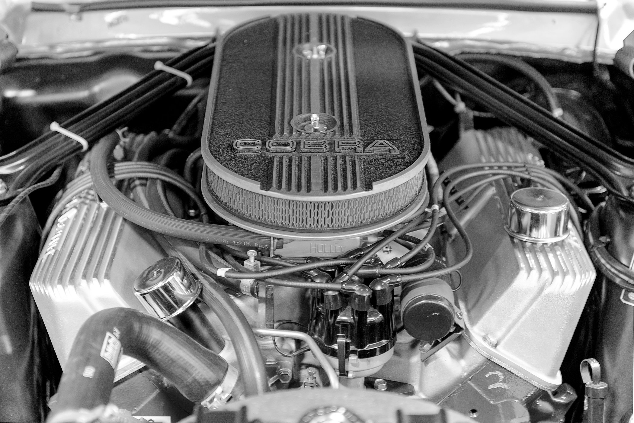 Cobra Engine B&W WP.jpg