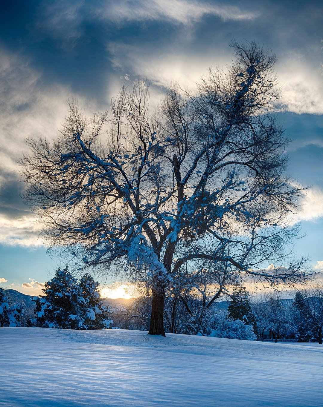 &quot;Kindness is like snow. It beautifies everything it covers.&quot;
~ Khalil Gibran

Winter is still sticking around Boulder today. It's currently 33 degrees with more snow on the way.

December Sunset!

You can check-out all of the photos in the 