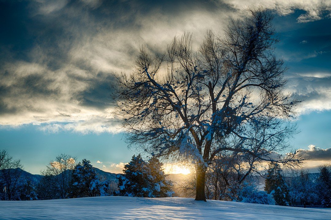 &quot;No winter lasts forever; no spring skips its turn.&quot;
~ Hal Borland

It's still wintry here in Boulder. It's currently 31 degrees and foggy with more snow and rain later tonight.

December Sunset!

You can check-out all of the photos in the 