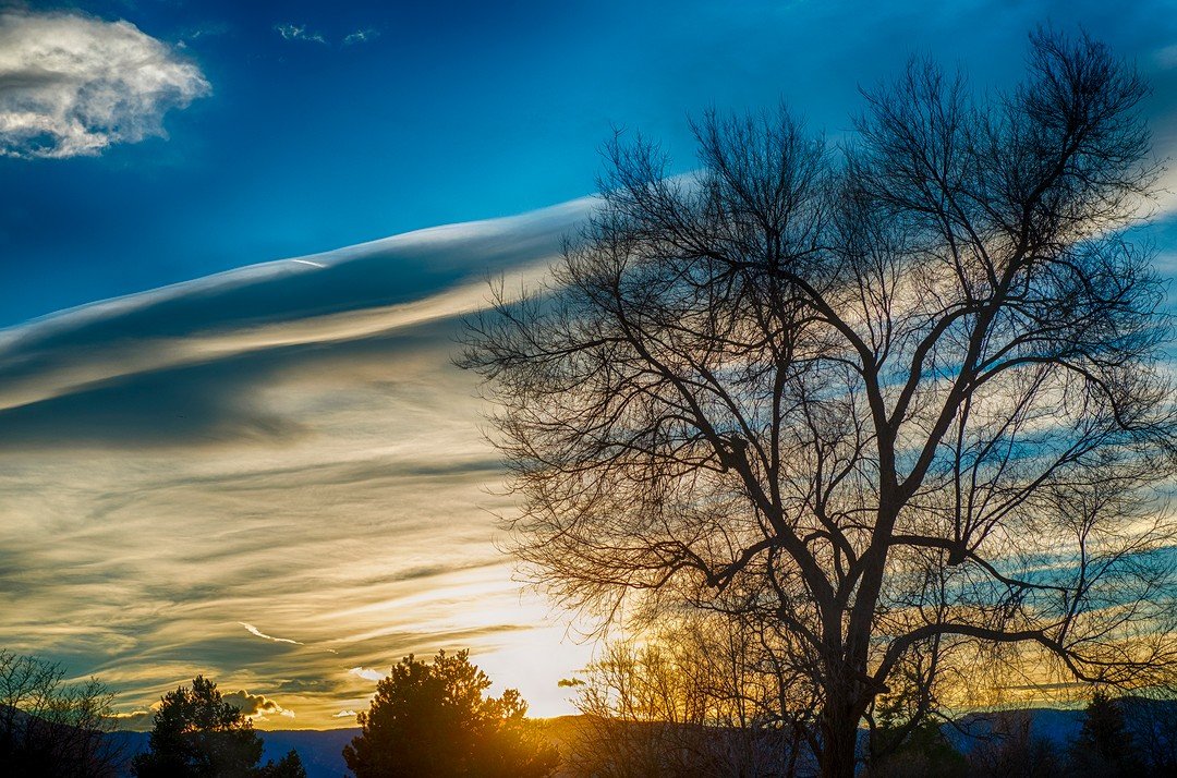 &quot;The earth is what we all have in common.&quot; 
~ Wendell Berry

Happy Earth Day!

November Sunset! Photographed on a crisp fall evening near my home in Boulder, Colorado. I love the color and texture of the lenticular clouds and the stark shap