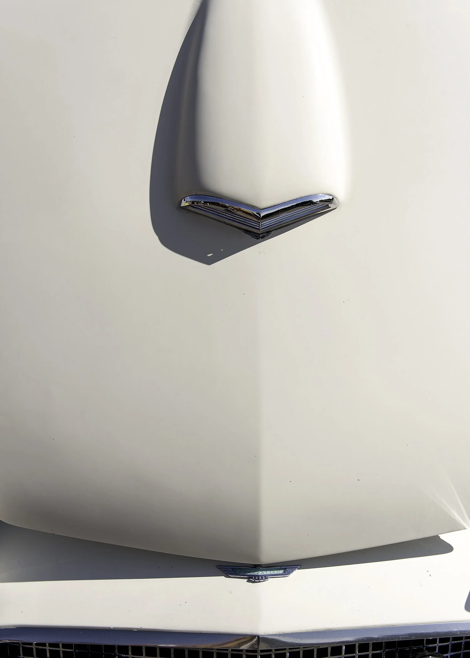 T-BirdHood WP.jpg