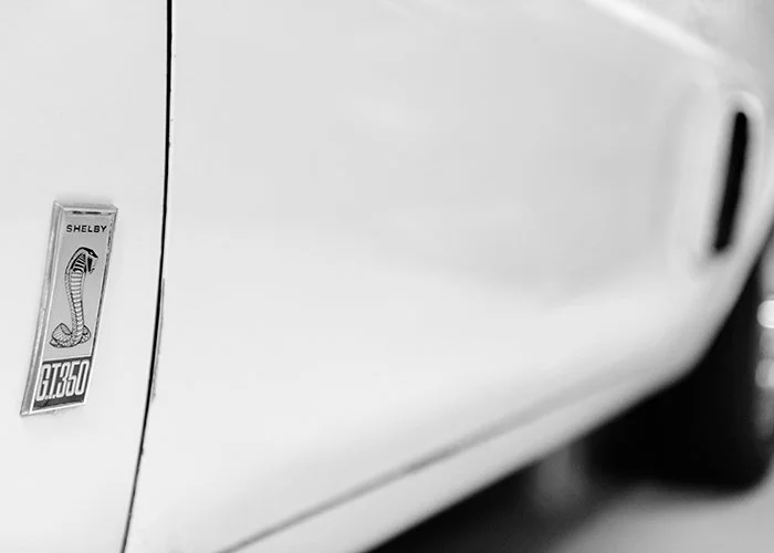 GT350WP.jpg