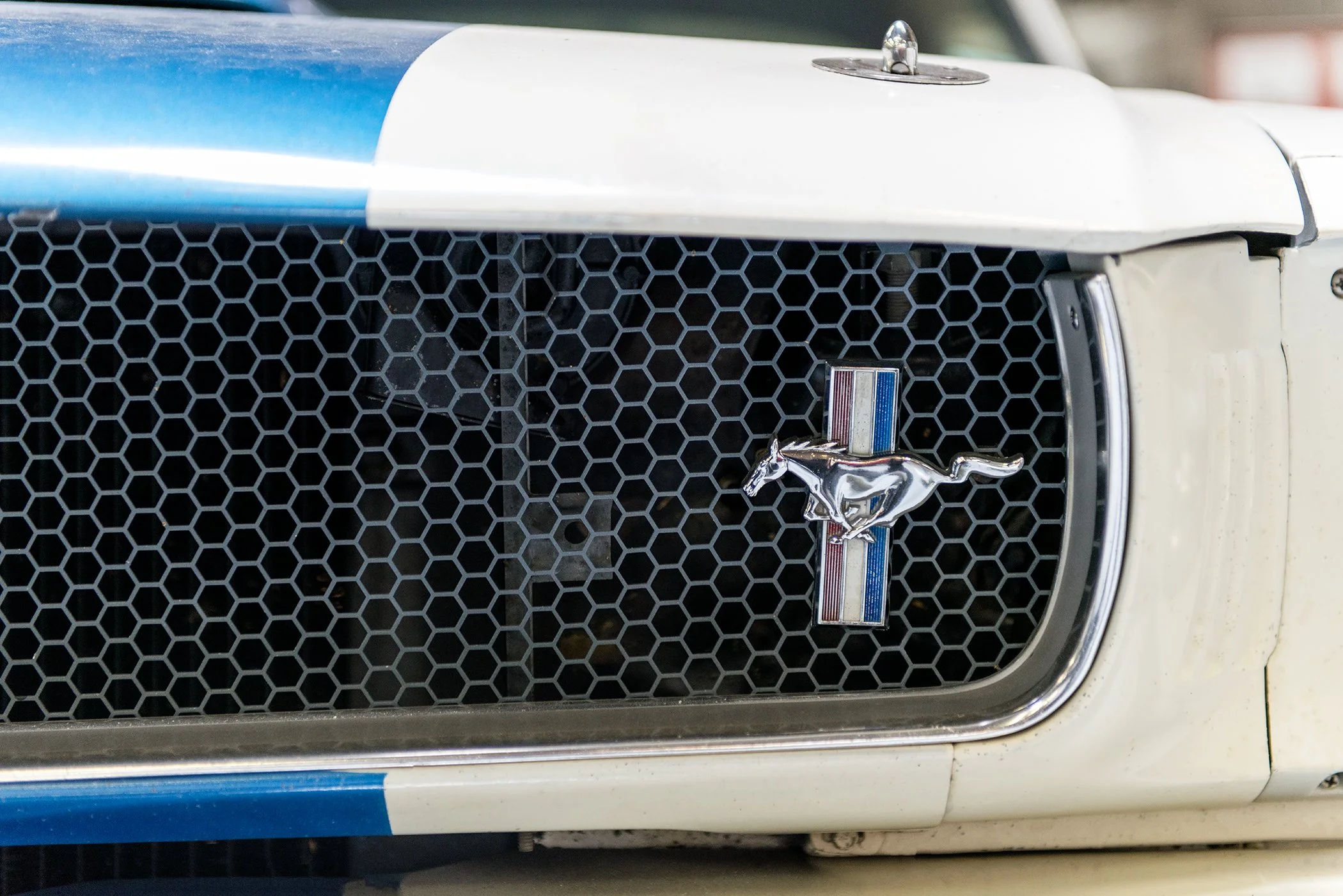 GT 350 Grill.jpg