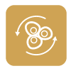 icona-antiage-ghinghinelli-zafferano-01.png