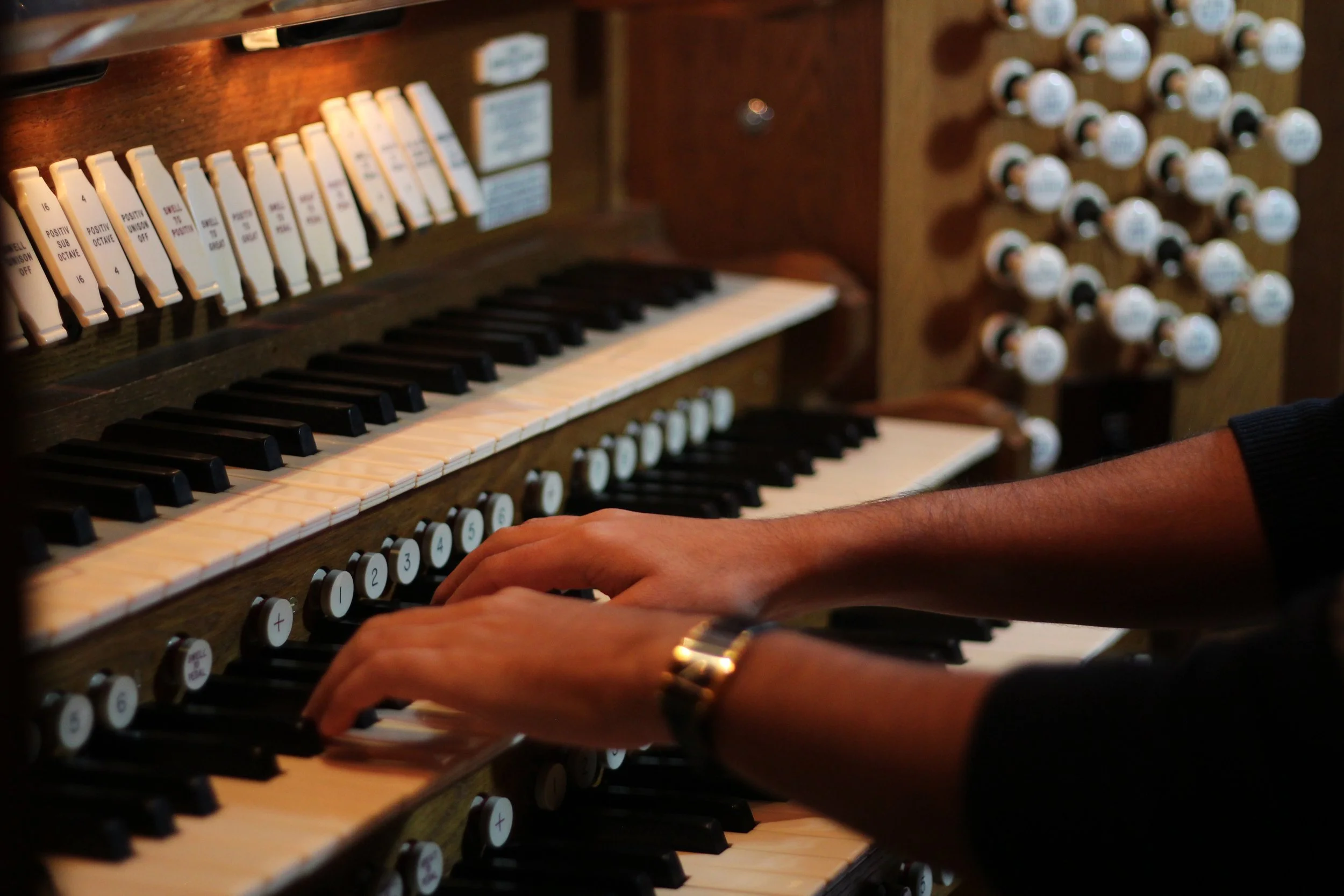 CarbyCanReh_4703 Organ.JPG