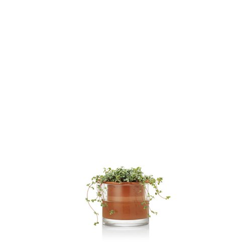 Wewoo - Pot de fleur Pots de fleurs plantes Pépinières en plastique  Creative Gallons avec plateau, taille: 18 * 27 * 23cm - Poterie, bac à  fleurs - Rue du Commerce