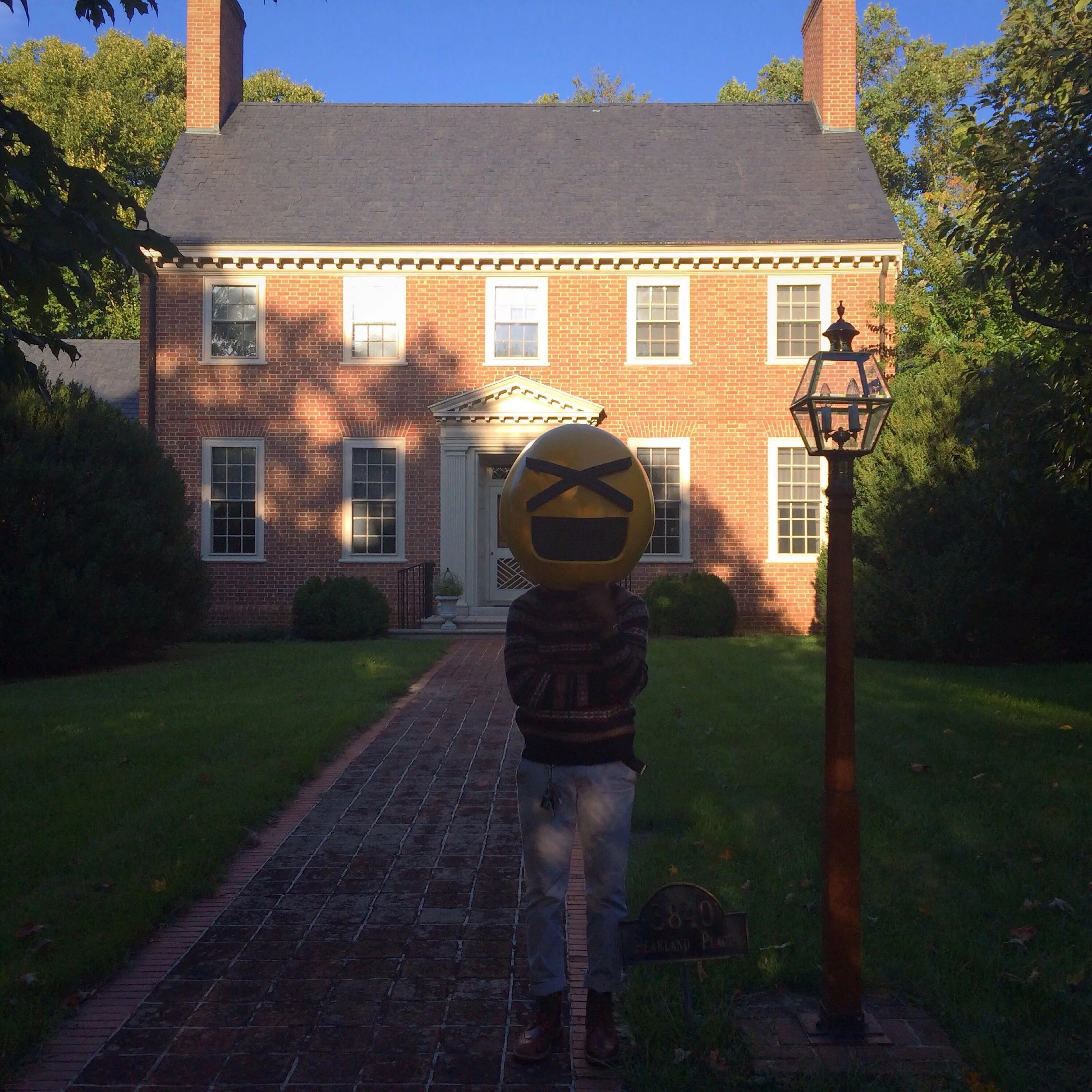 SuburbPhoto by Janelle Roots