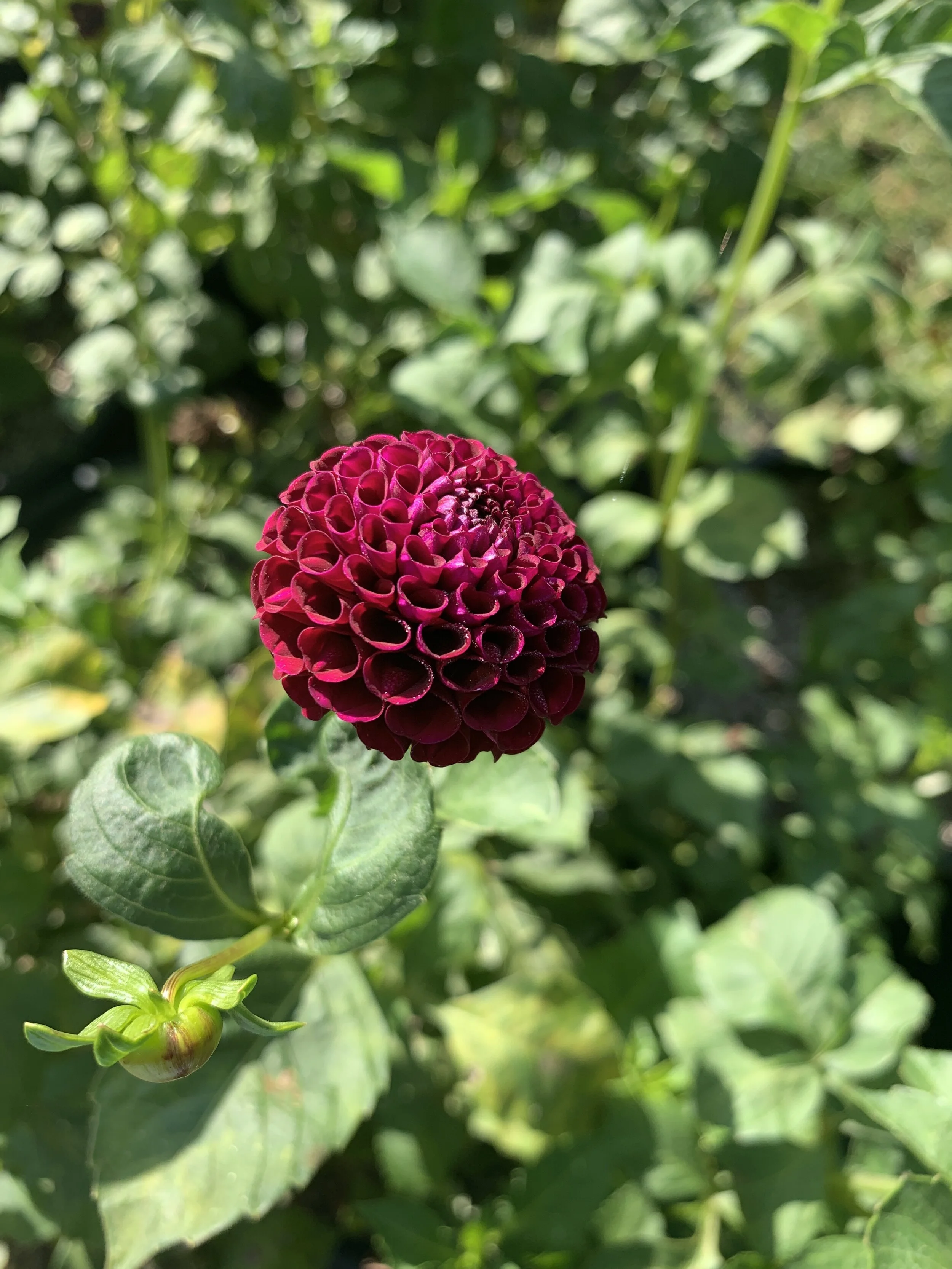 68582163-9E4C-460A-AE37-2D2C0AA0B330