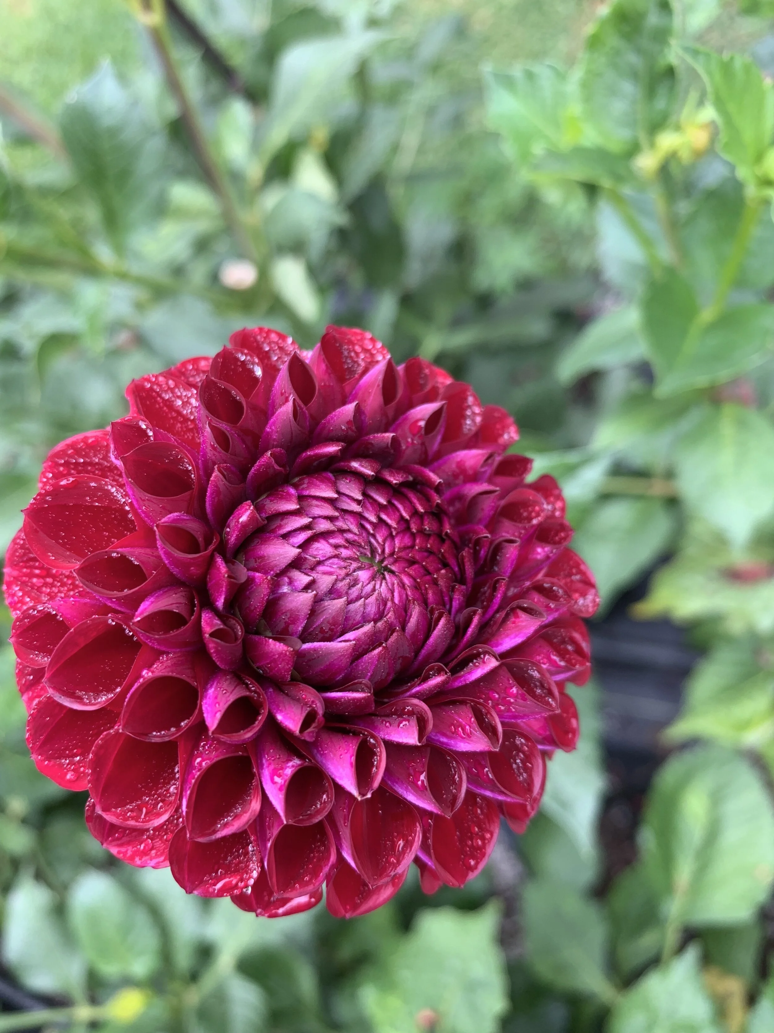 B20B4541-366D-4B67-815D-3E738BD74D8D