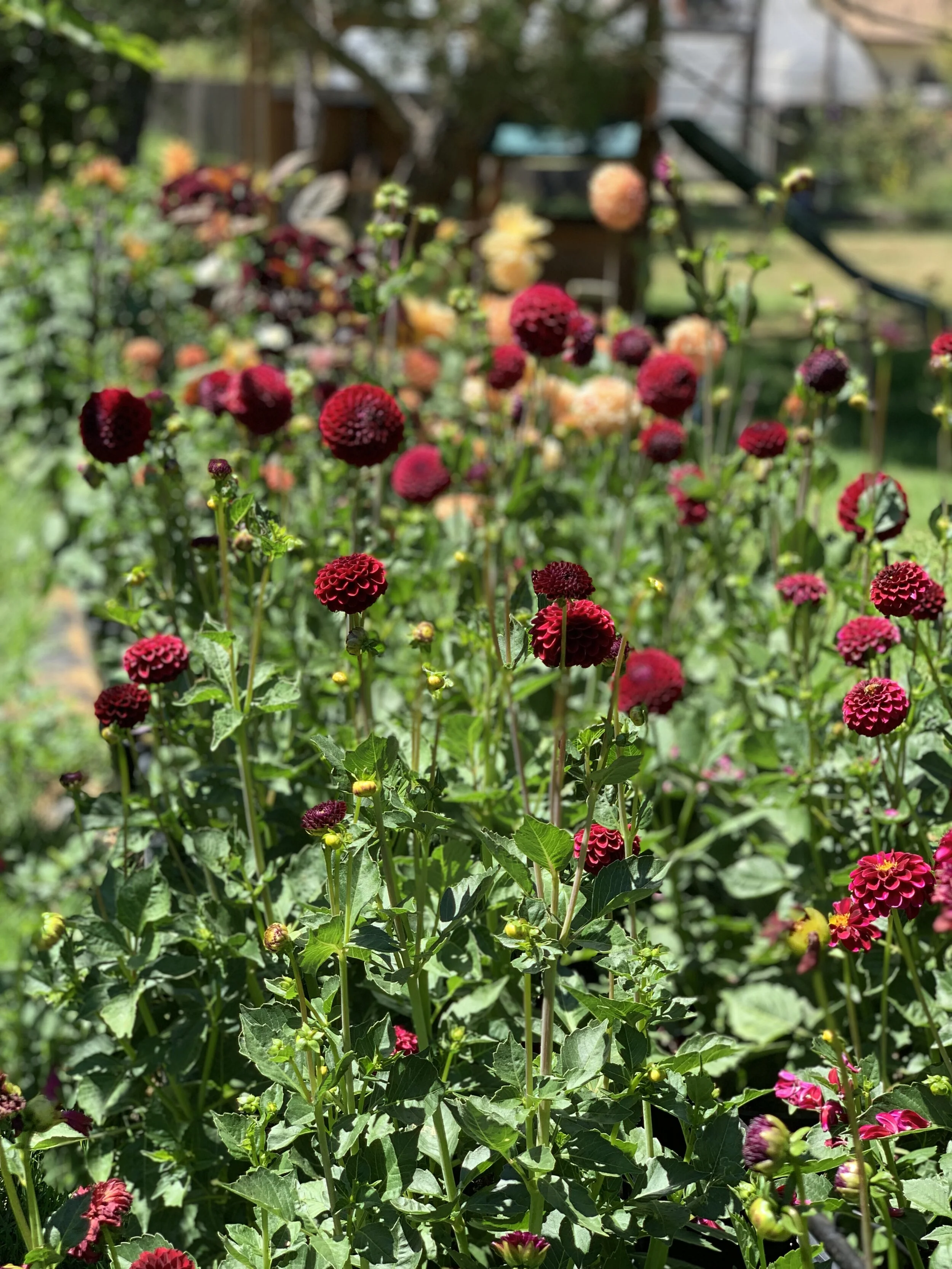 553B0734-7330-4BC5-8A63-E374DD68821F