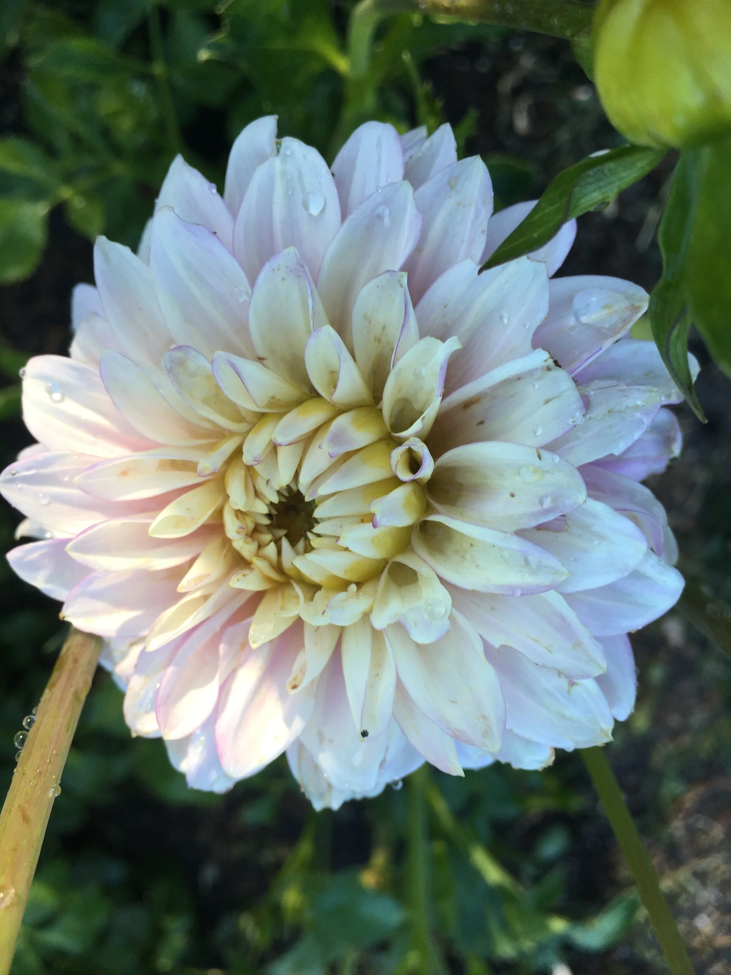 3321E7D8-71DE-490B-99A9-A4501BDAF419