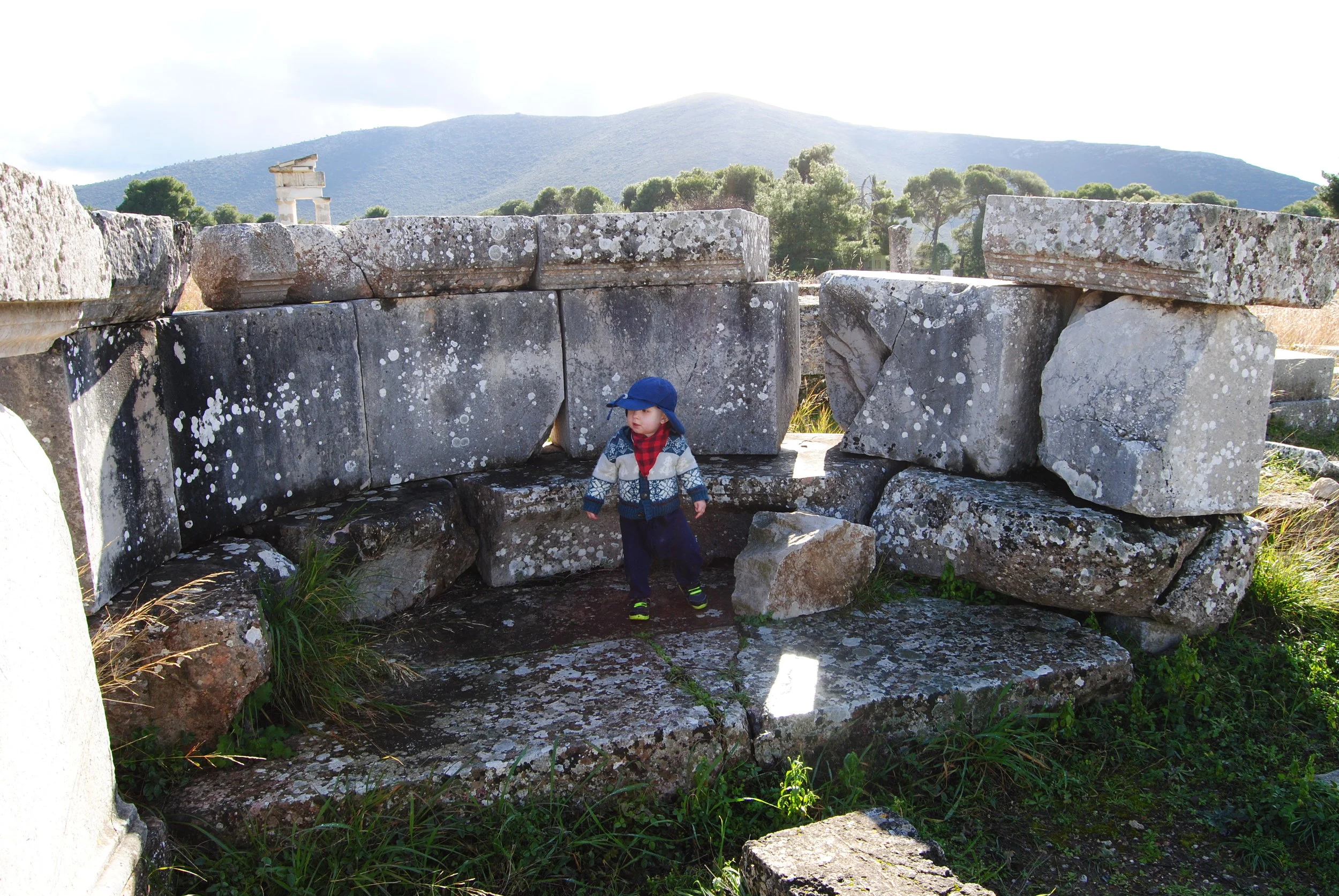 CATS: Exploring Epidaurus.