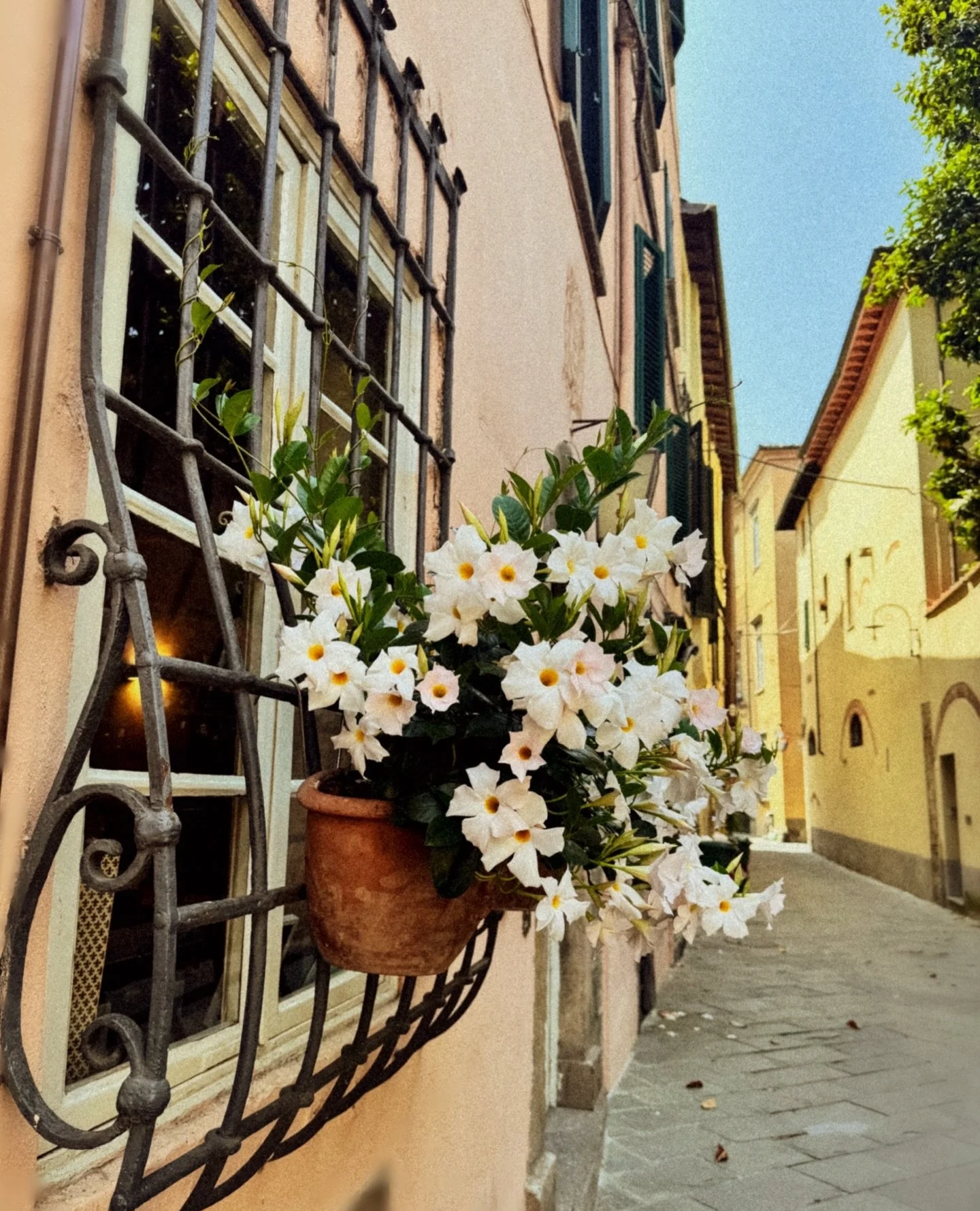 One day your life will flash before your eyes, make sure it&rsquo;s worth watching &bull;&bull;&bull;