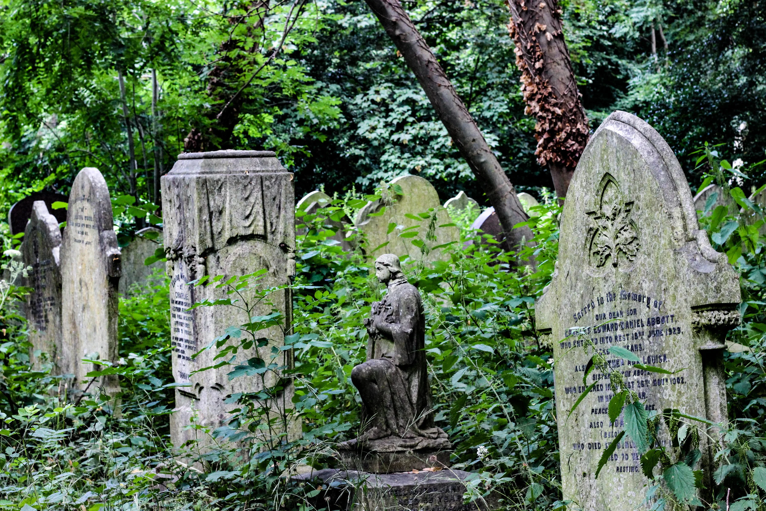 The Ancestors and the Dead