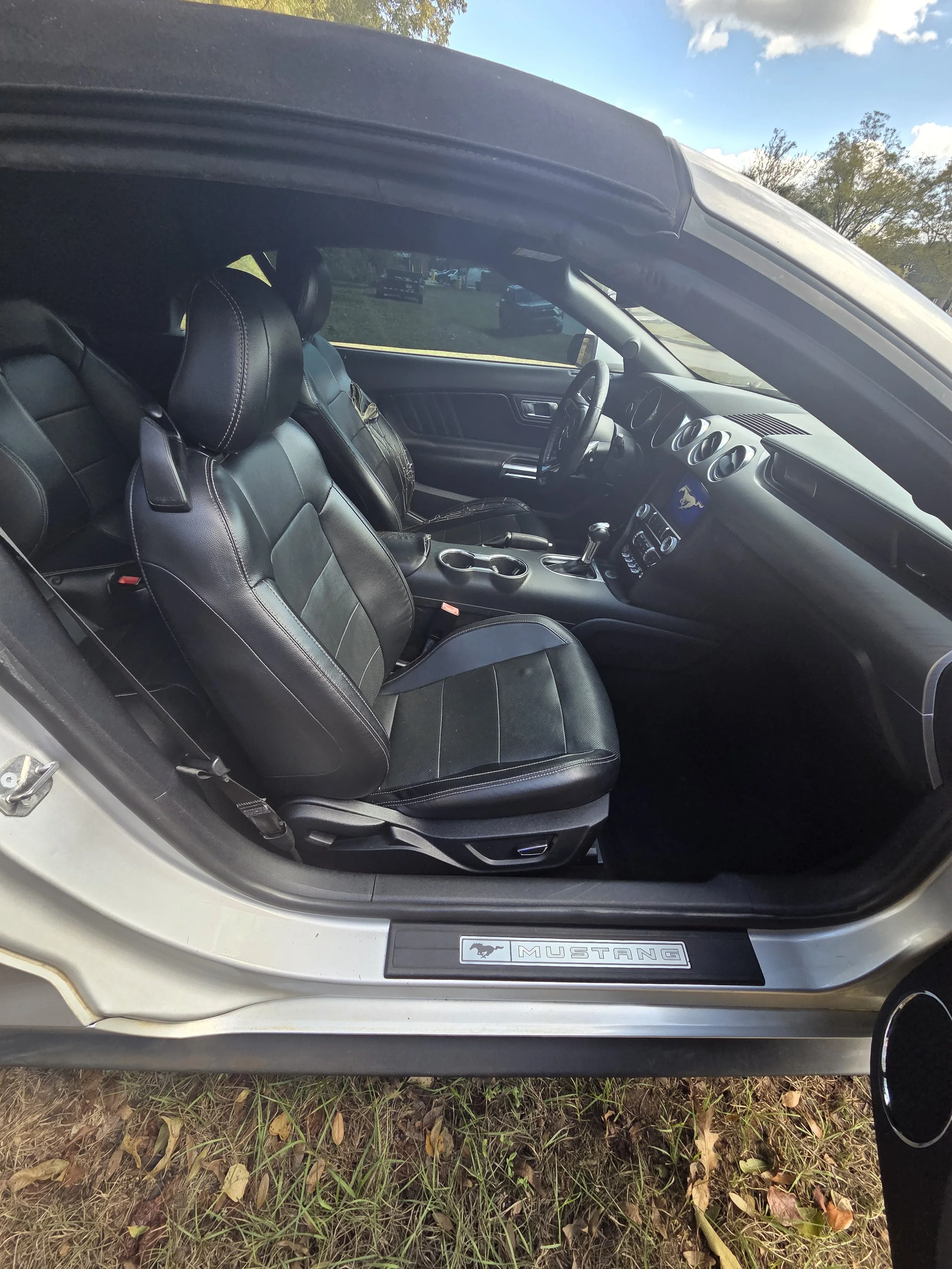 2019 Ford Mustang Convertible Interior View 