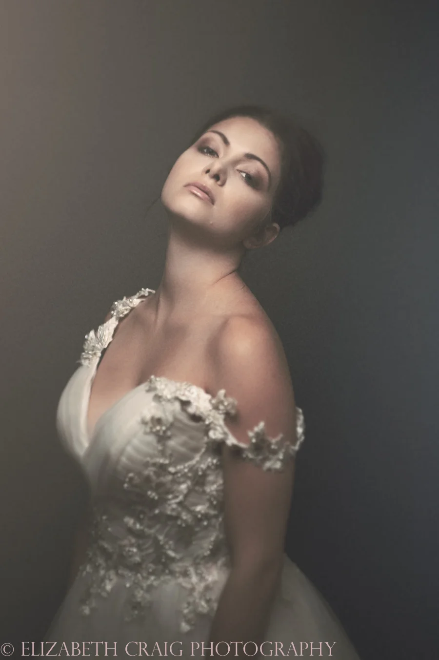 Pittsburgh Bridal Photographer | Elizabeth Craig Photography-001