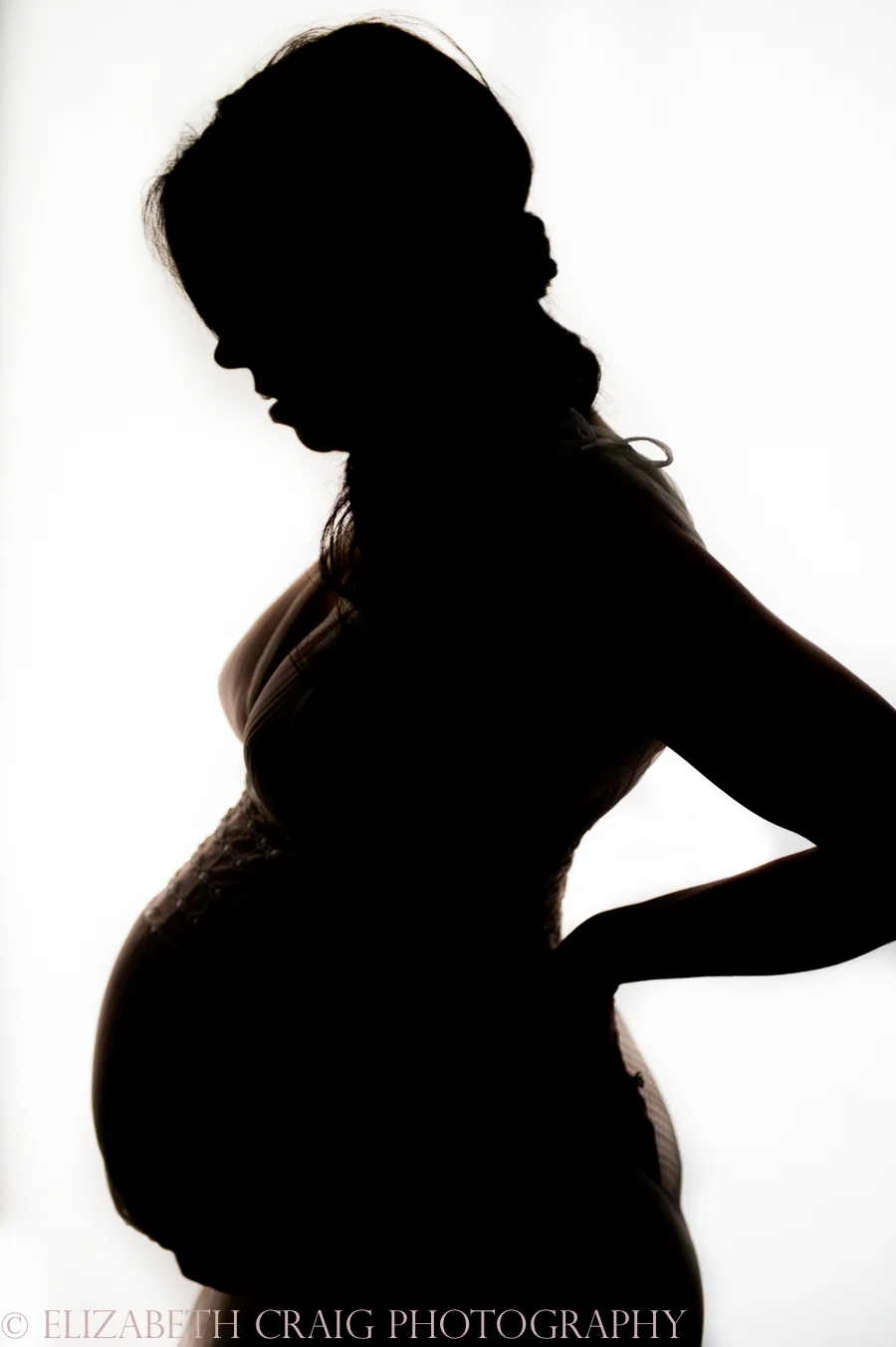 Pittsburgh Maternity Photographer | Elizabeth Craig Photography-004