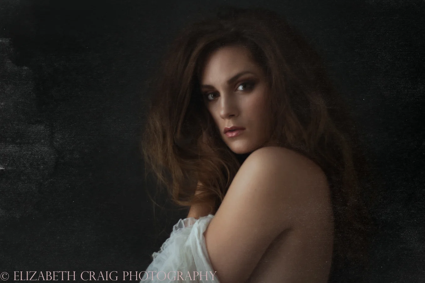 Pittsburgh Portrait Photographer | Elizabeth Craig Photography-015