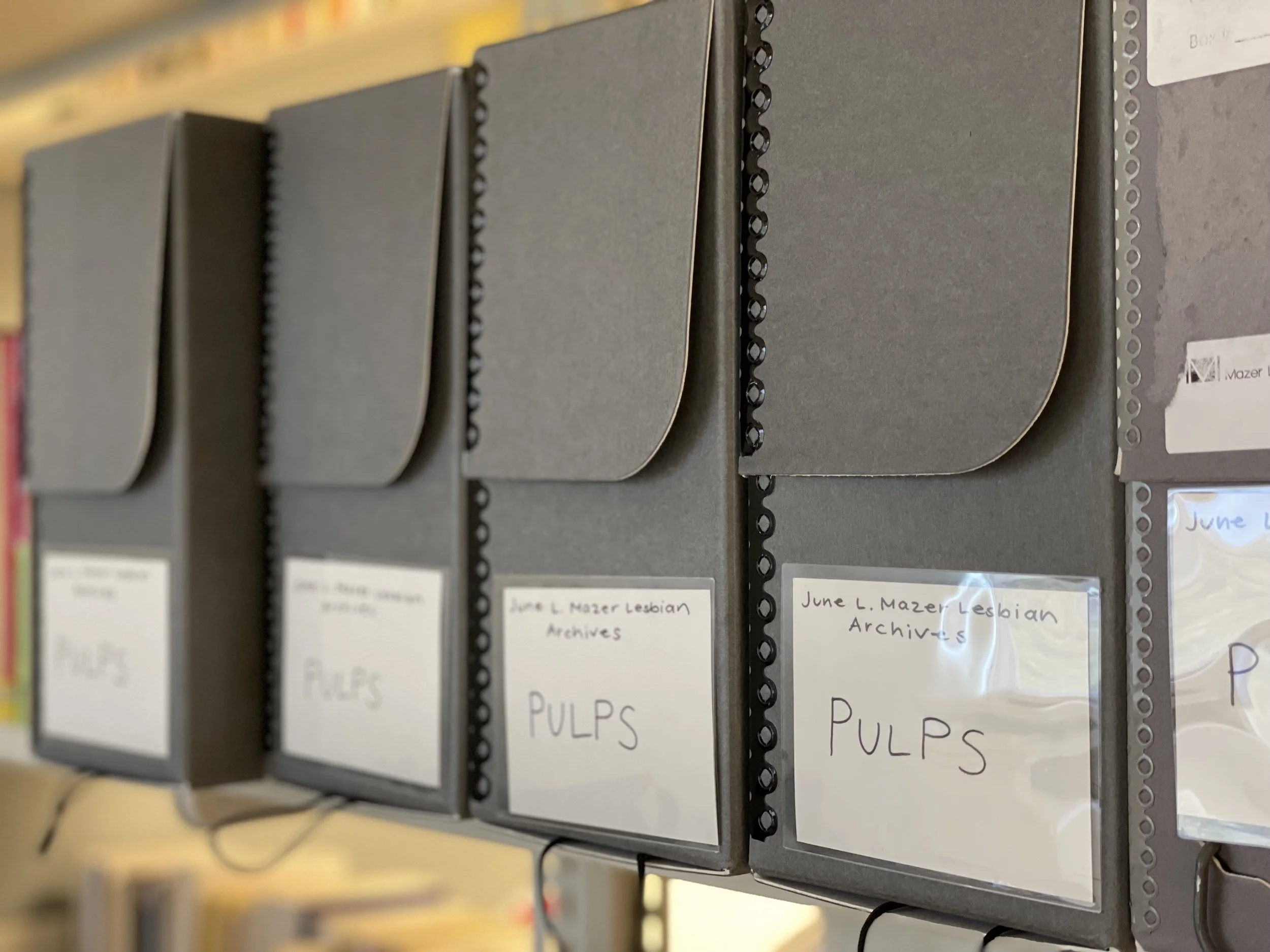 Mazer Archives March 2022 Newsletter | Out of the Archives: Our Lesbian Pulp Novels